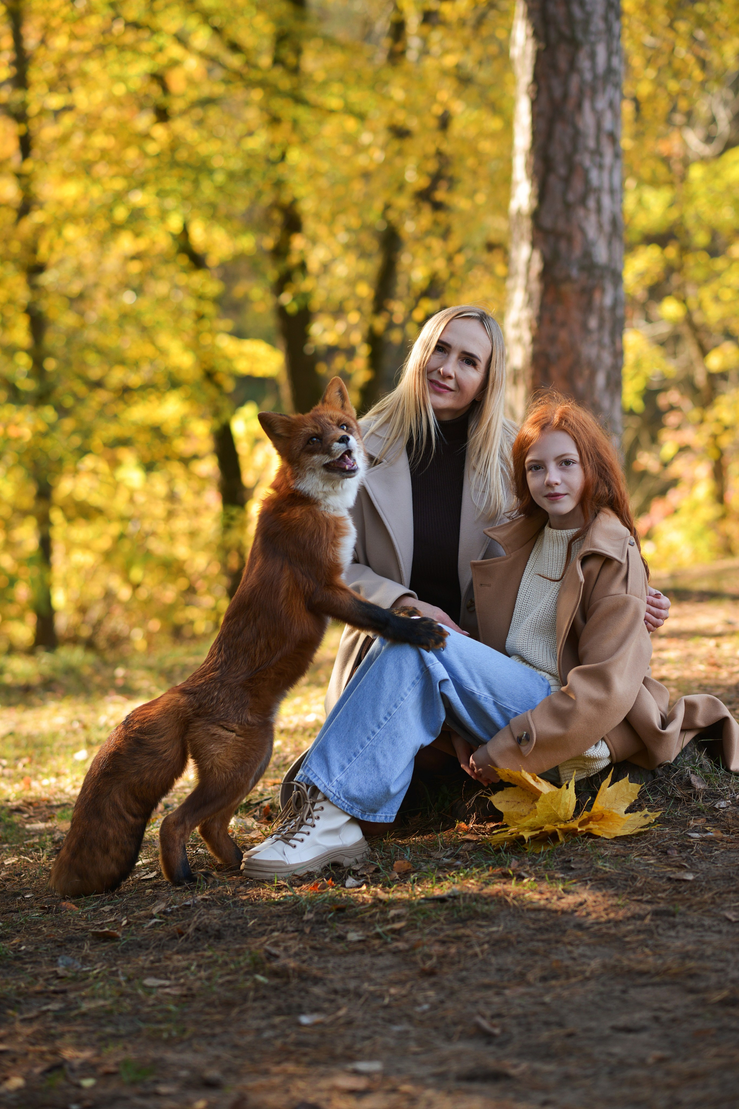 Семейная фотосессия. Фотограф Тверь, Москва Екатерина Григорьева
