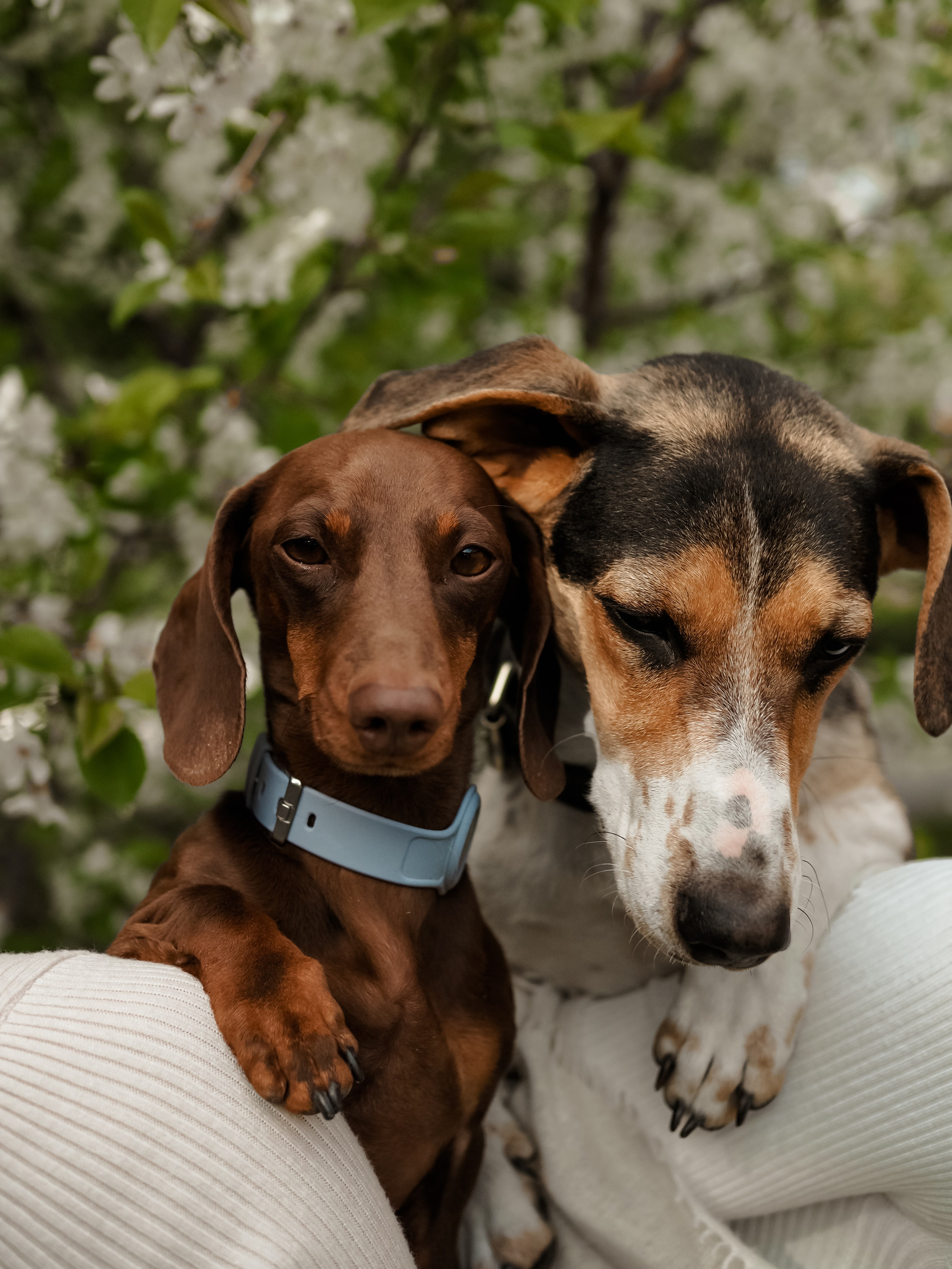 История. Фотограф Рязань. Семейный Свадебный фотограф