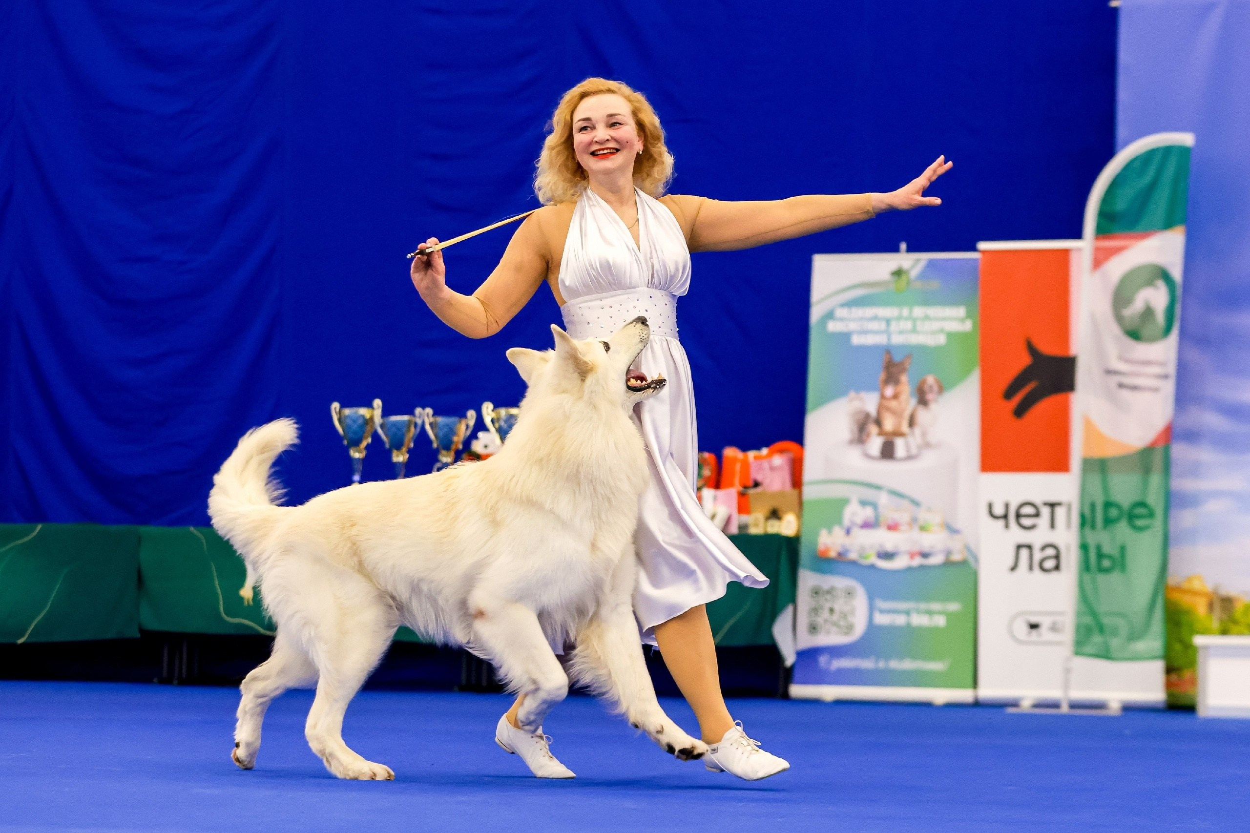 Соревнования по танцам с собаками. Спортивный фотограф Зянтереков Антон