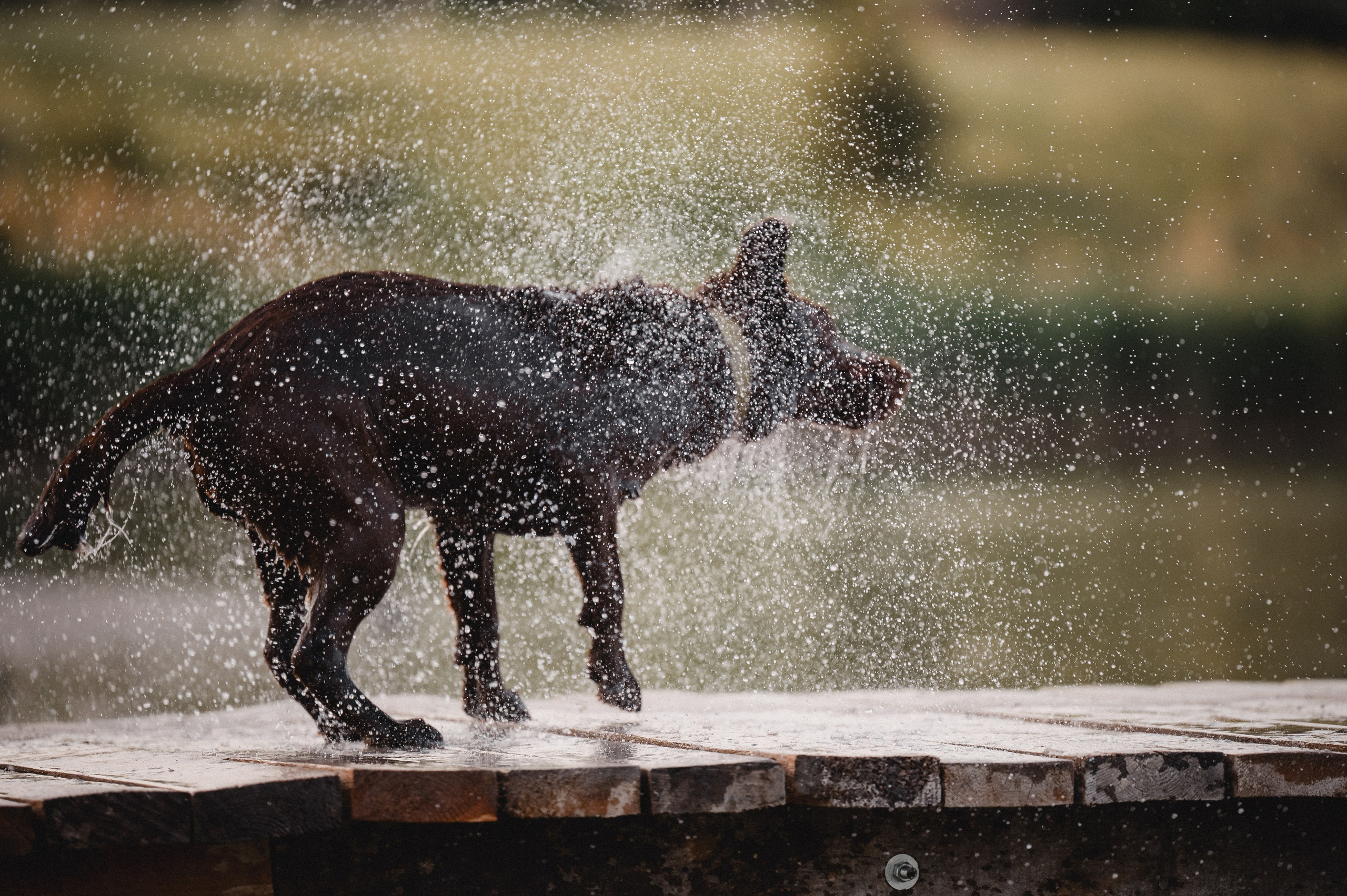 Анечка и Дэя. Фотограф в Ростове —на — Дону