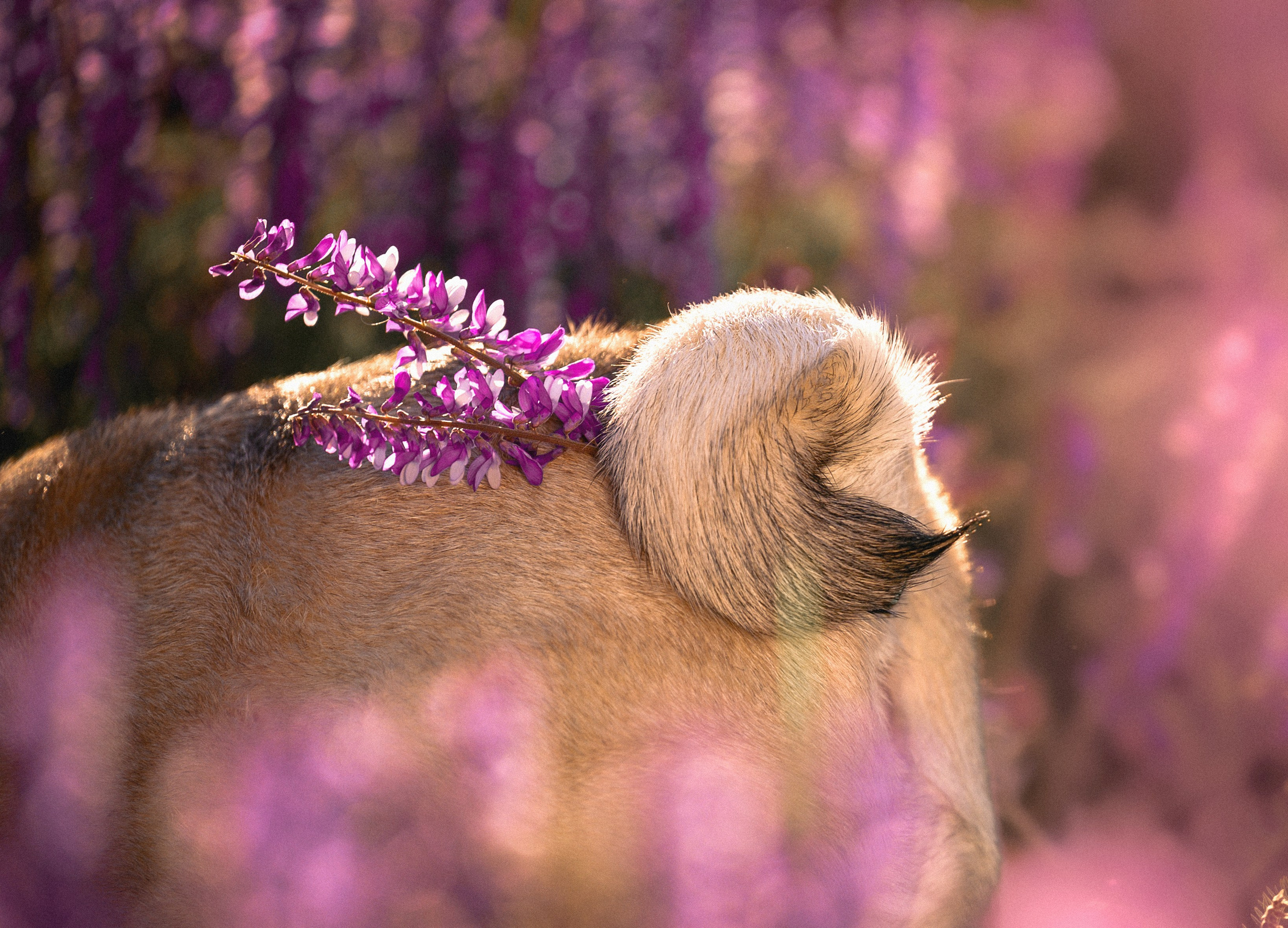 Весенняя прогулка. Фотограф в Ростове —на — Дону