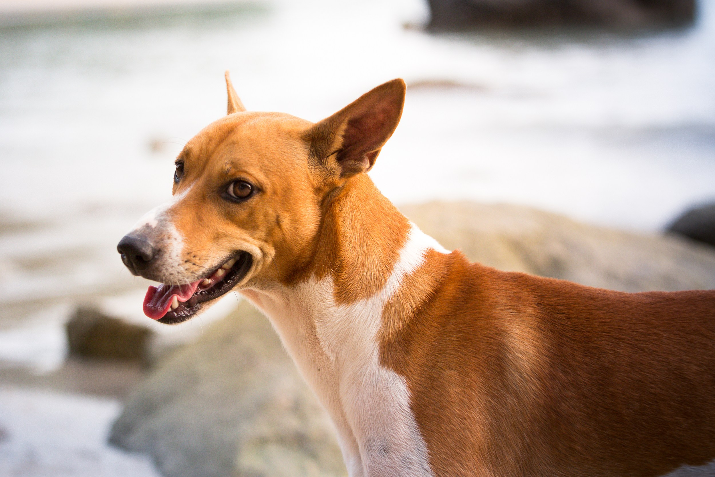 Фото Тайланда. Студия Максима Белослюдцева