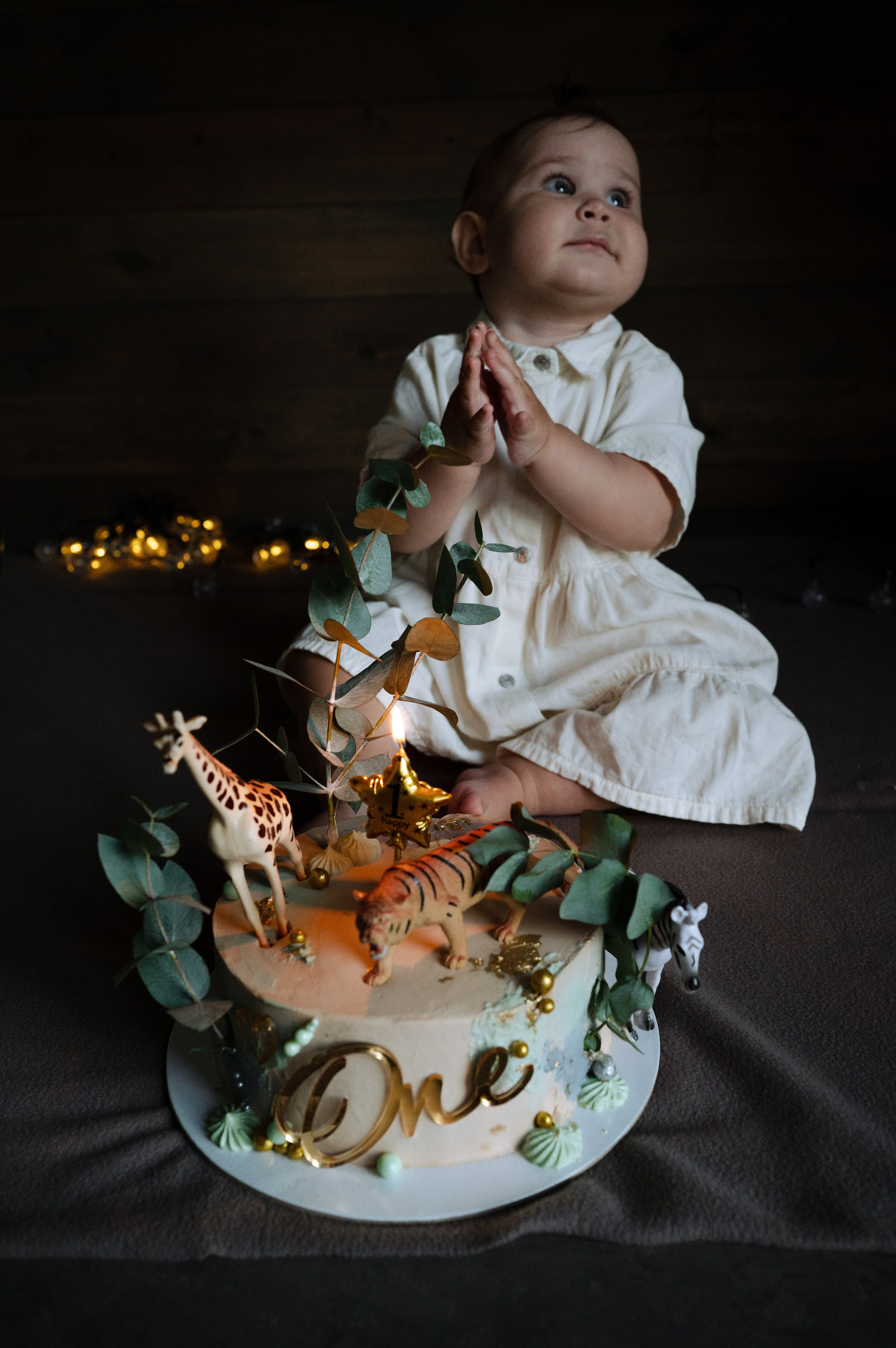 Фаина, 1 годик. Фотограф Красноярск Екатерина Карпеза