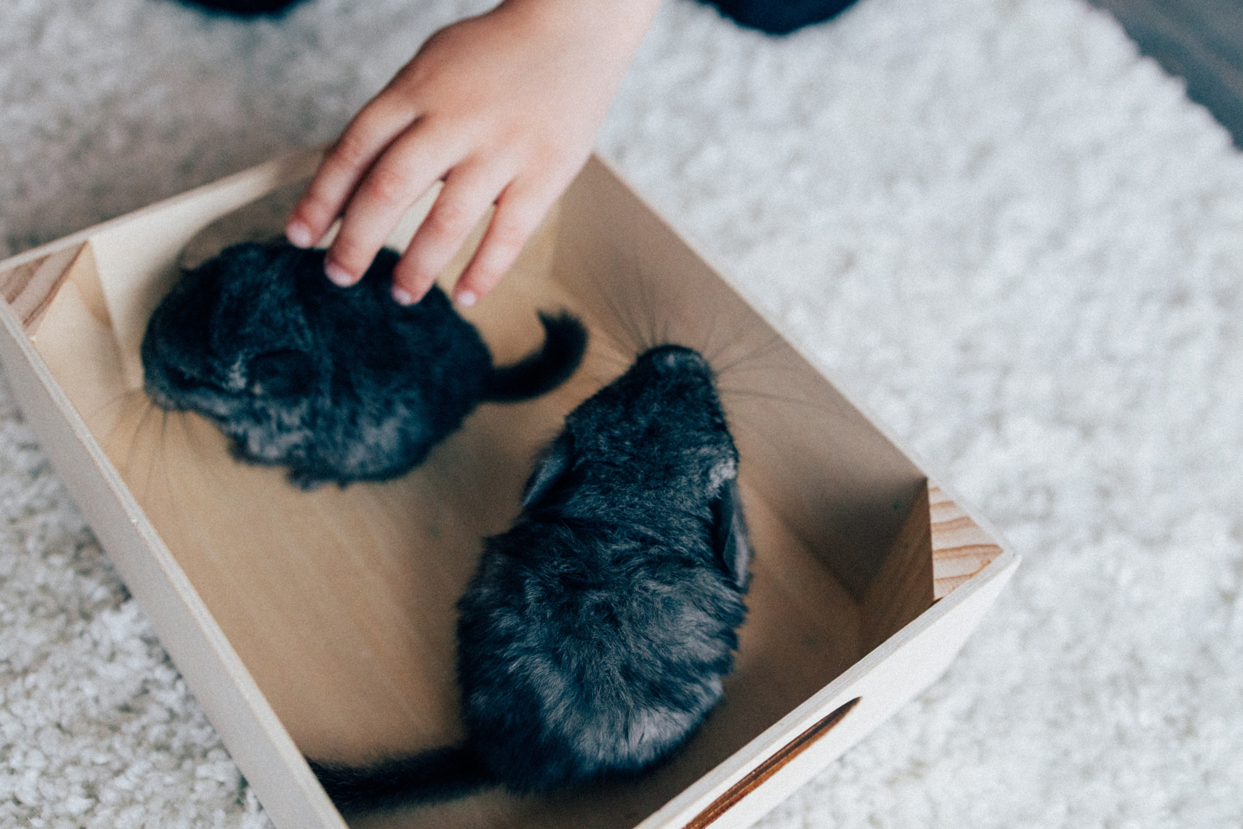 Lifstyle Фролкины. Семейный, женский и детский фотограф Татьяна Колобаева