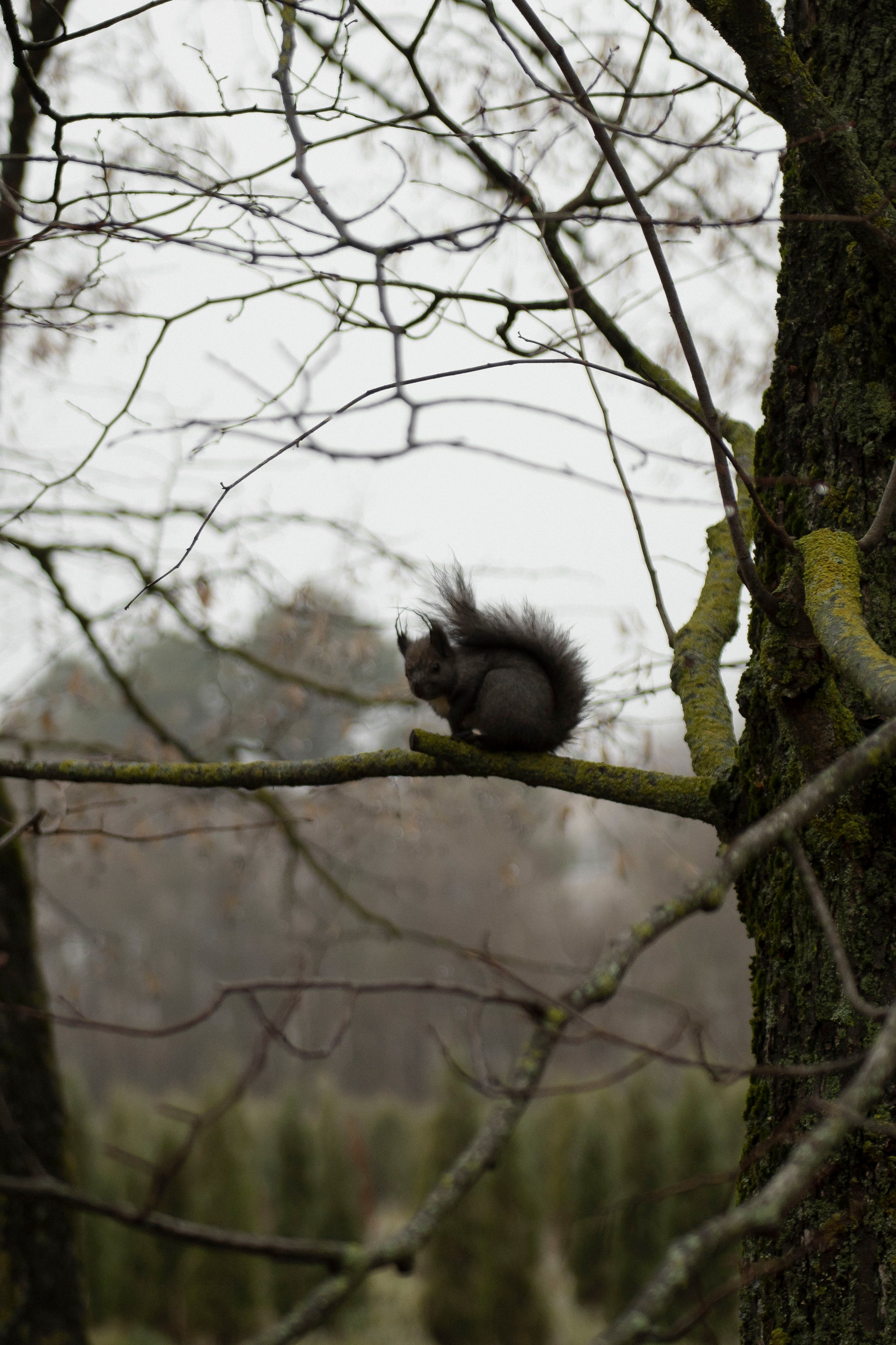 Счастье в желтых сапогах. Свадебный и женский фотограф в Ставрополе Вика Лексеева