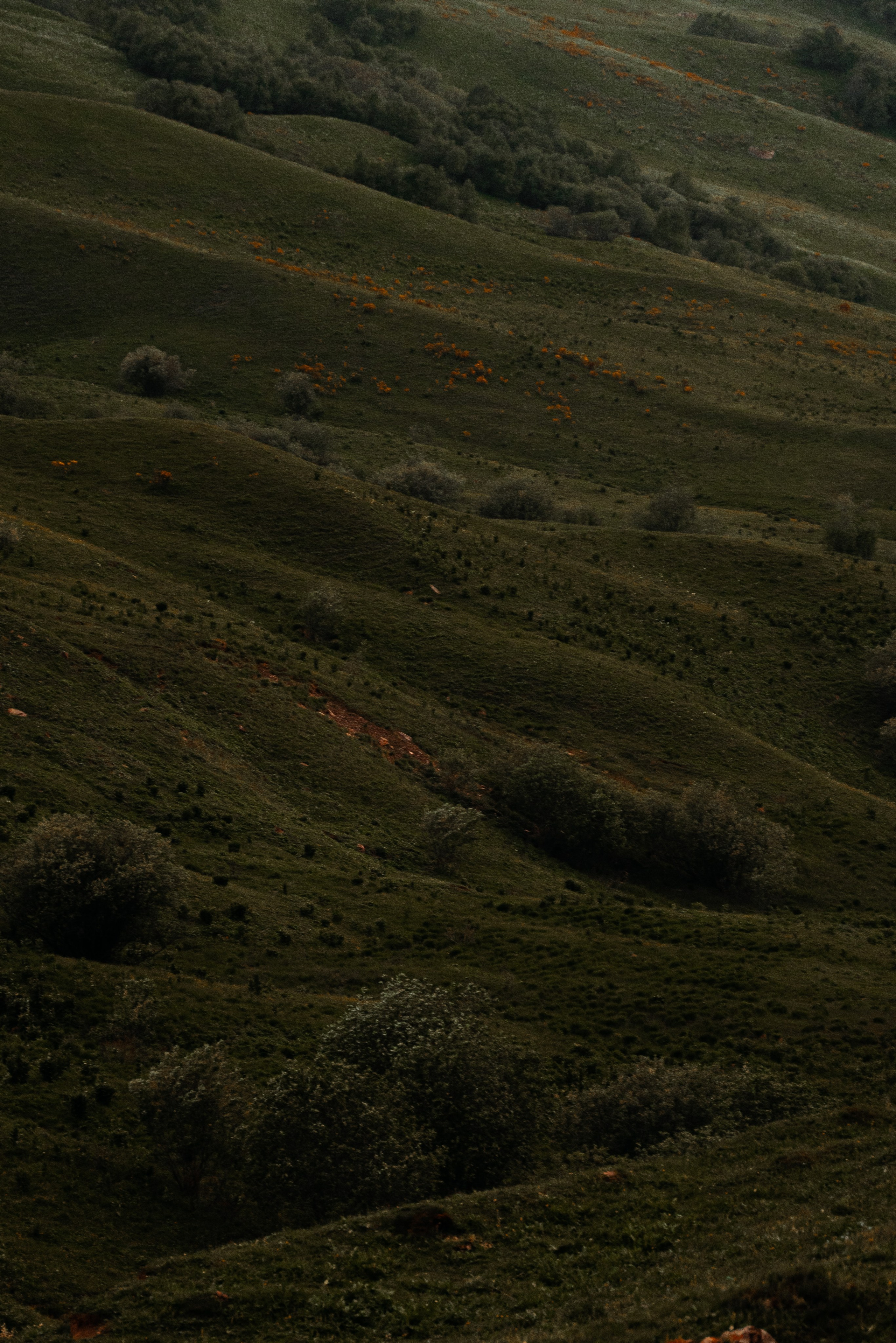Пейзаж. Фотограф Кантемир Бараов