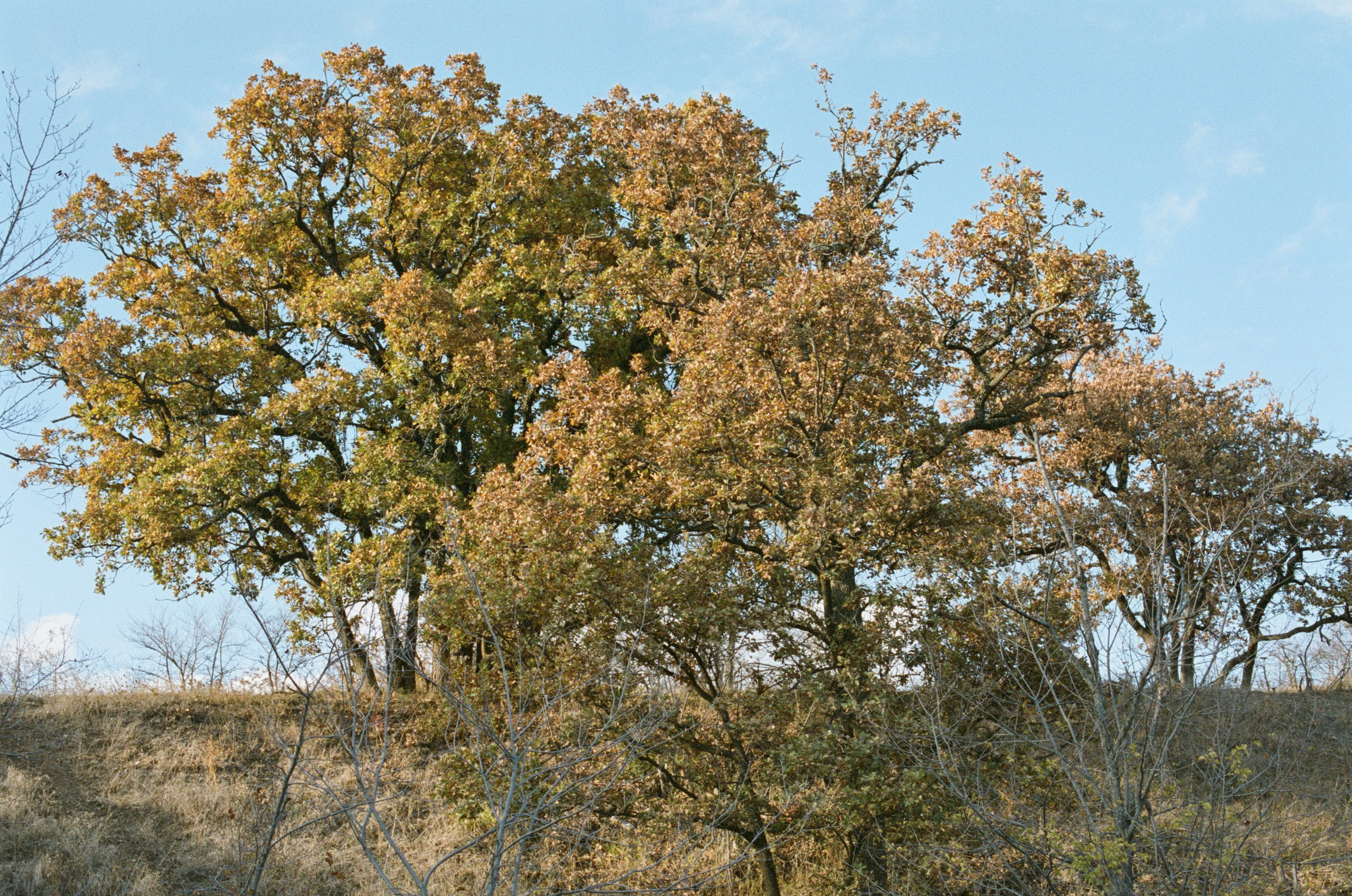 Wherever you will go // ukraine, crimea III. EVER EXPOSED