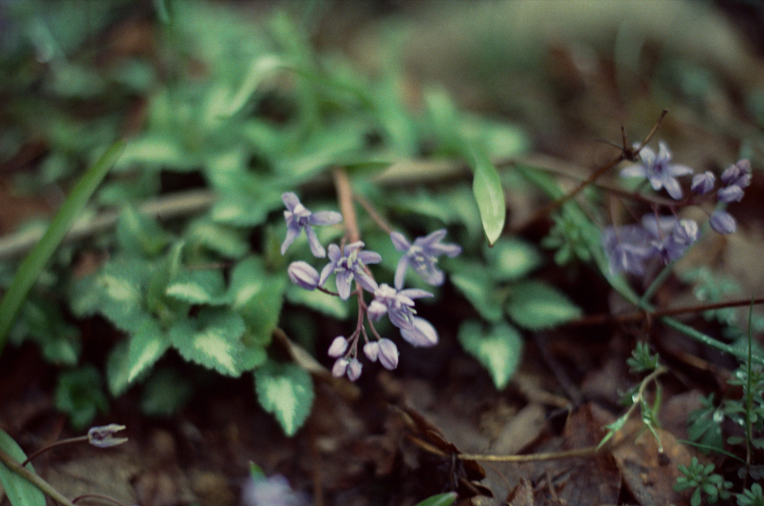 Some kind of madness // ukraine, crimea. EVER EXPOSED