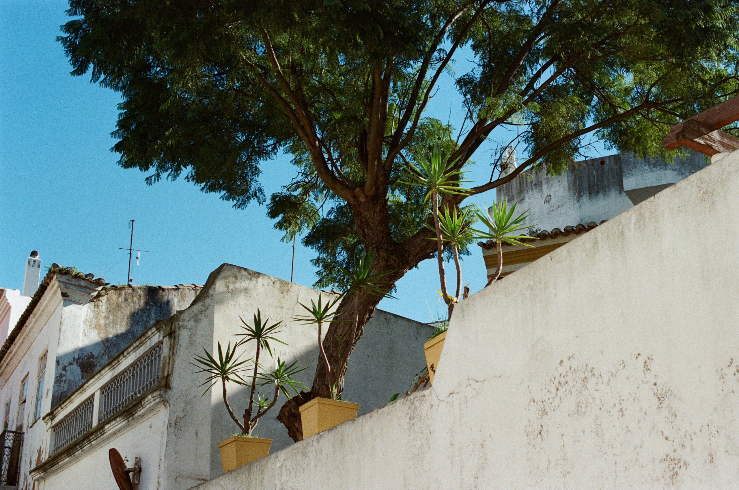 I think i'm ok // portugal, lagos. EVER EXPOSED