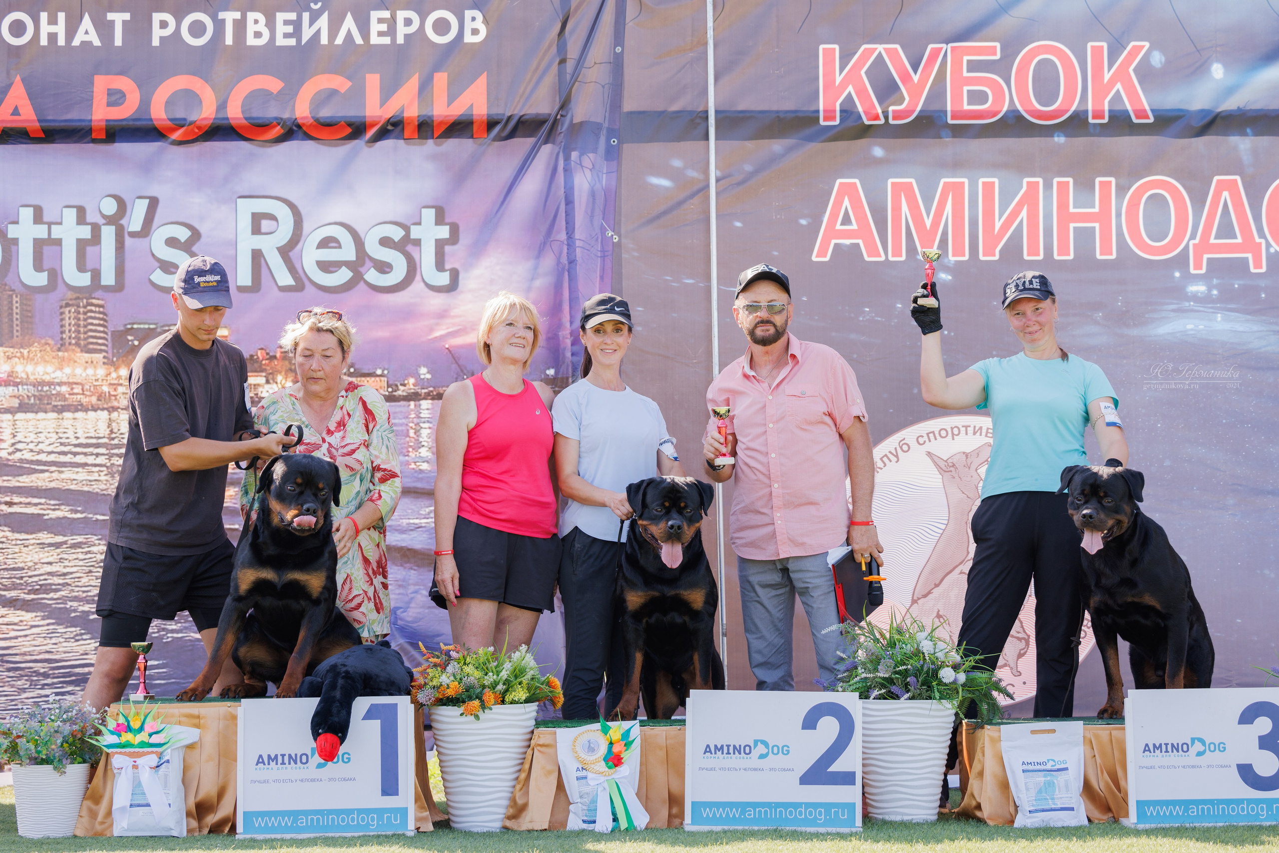 Анапа ротвейлеры 14-15.09.2024. Фотограф-анималист Юлия Германика