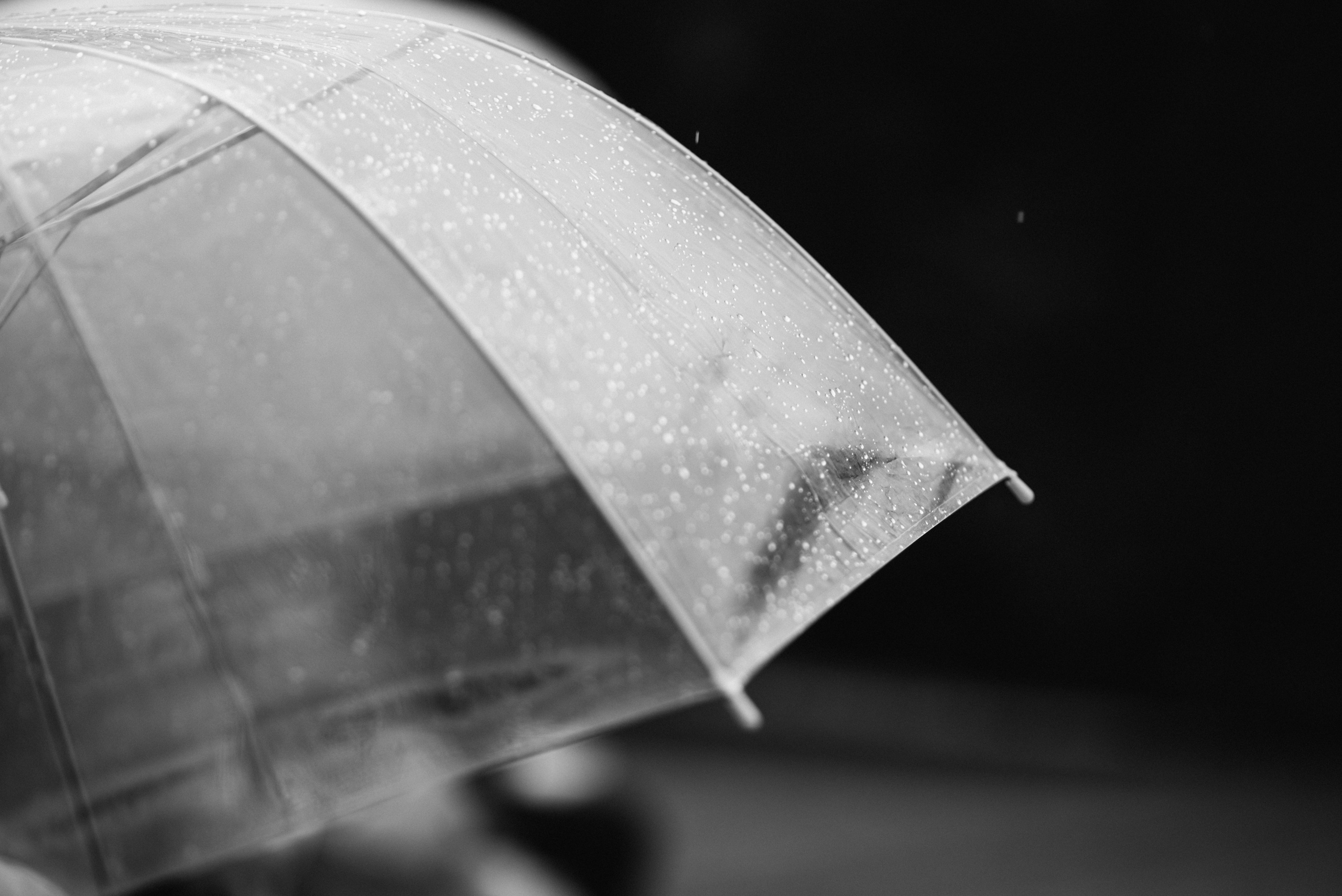 Паша и Аня. Свадебный фотограф Минск