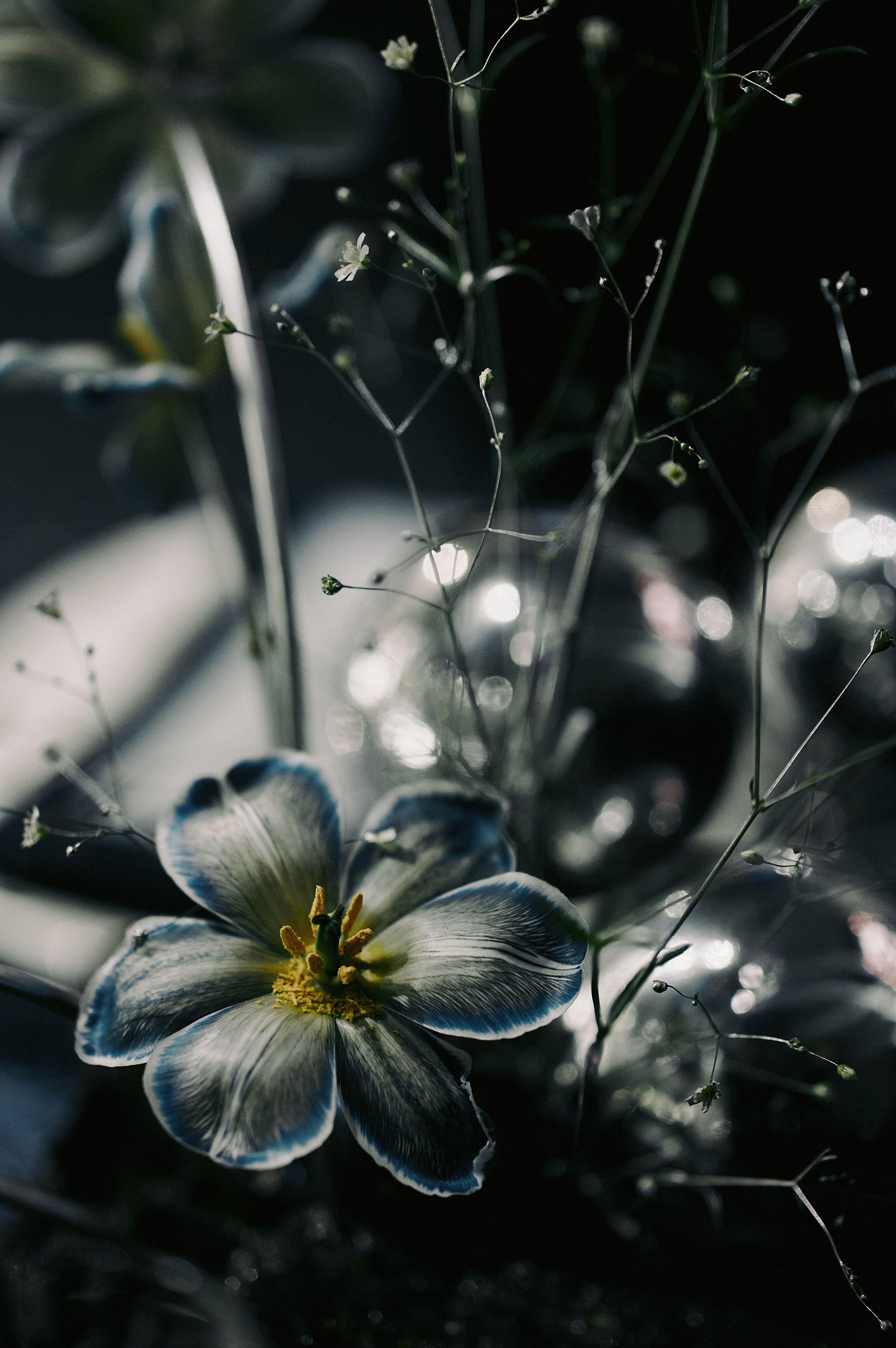 Как с Луны упали. Свадебный фотограф в Ростовe-на-Дону Анастасия Прутова