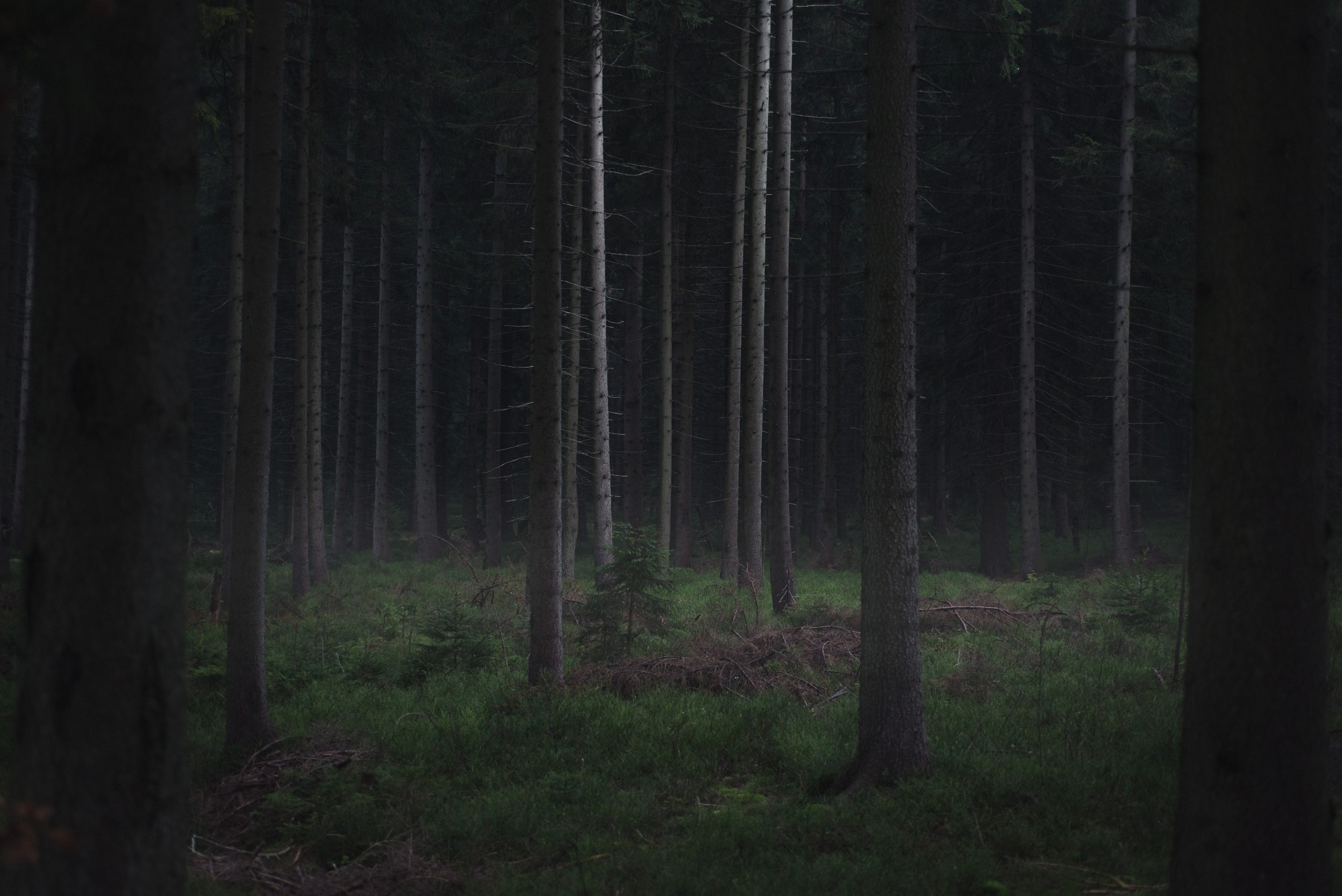 Как снимать репортаж — инструкция для начинающего фотографа