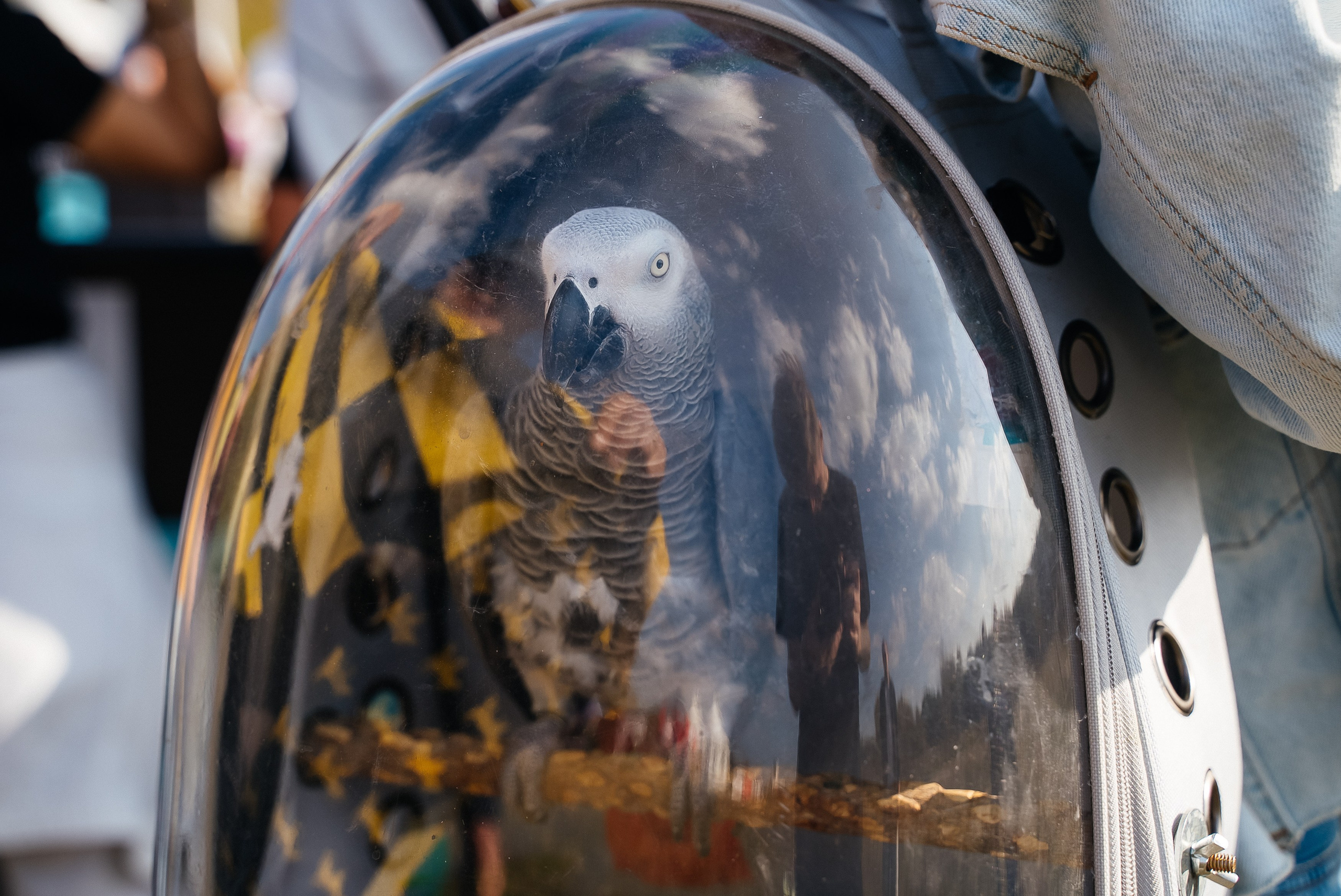 Билайн. Павел Краснов — Свадебный и репортажный фотограф в Москве