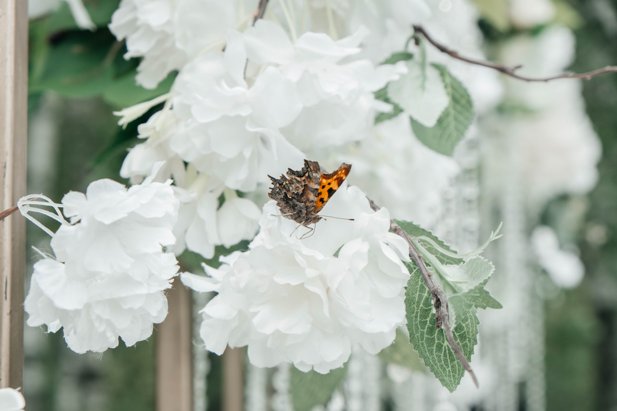 Кирилл&Дарья. Свадебный и портретный фотограф Казань | Белебей