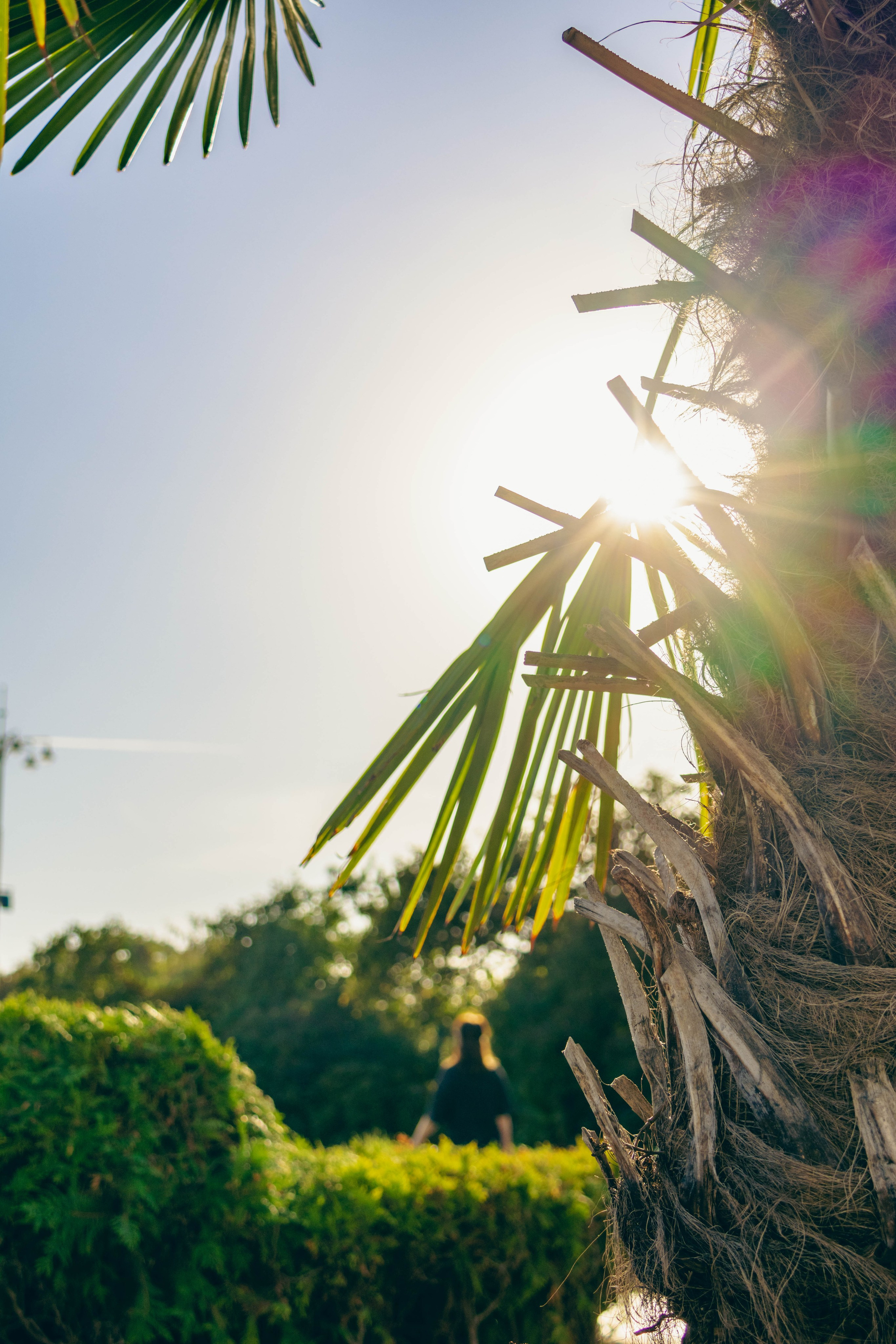 Парк Горького. Jean De Vivre Gallery