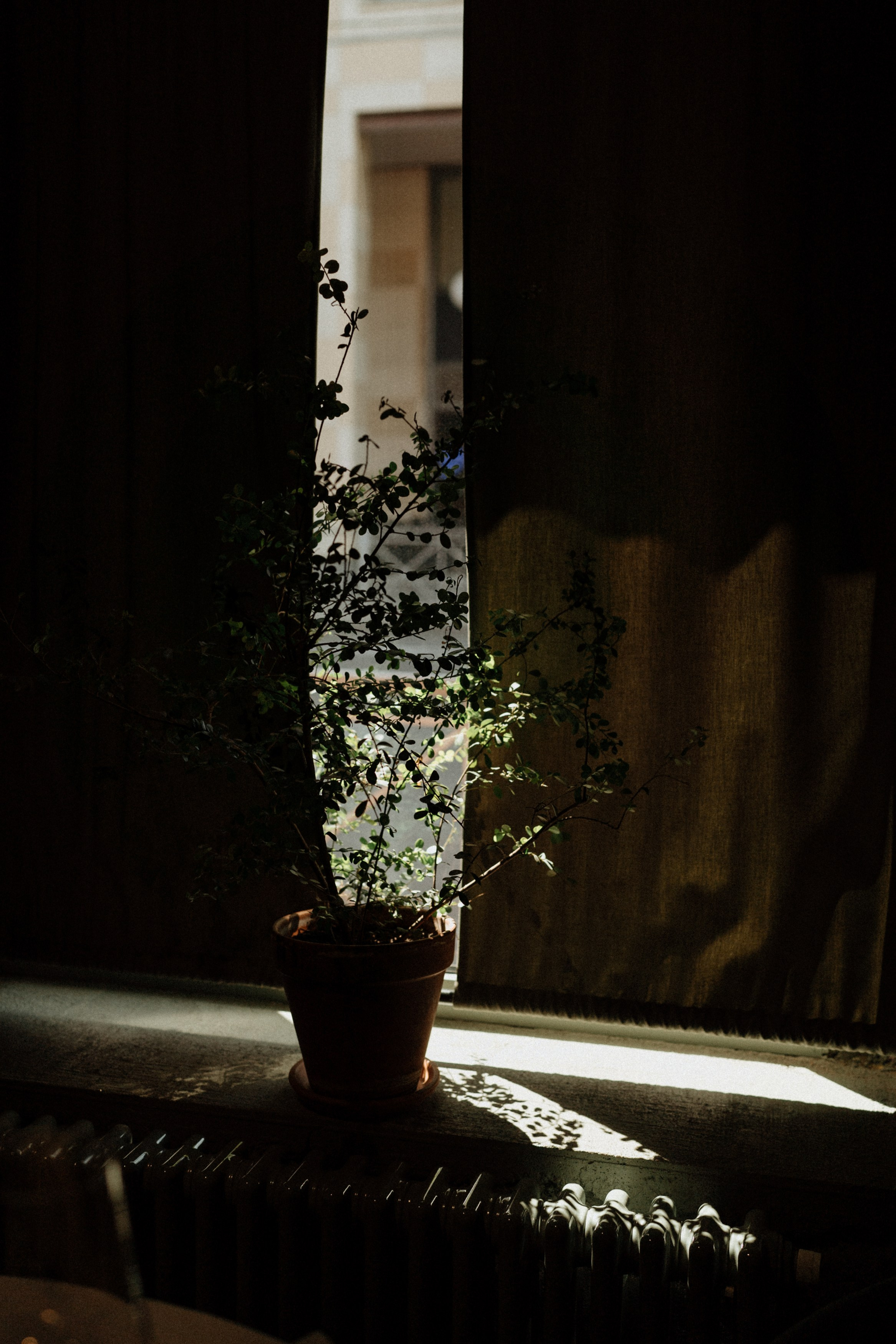 N&D, autumn S.Petersburg