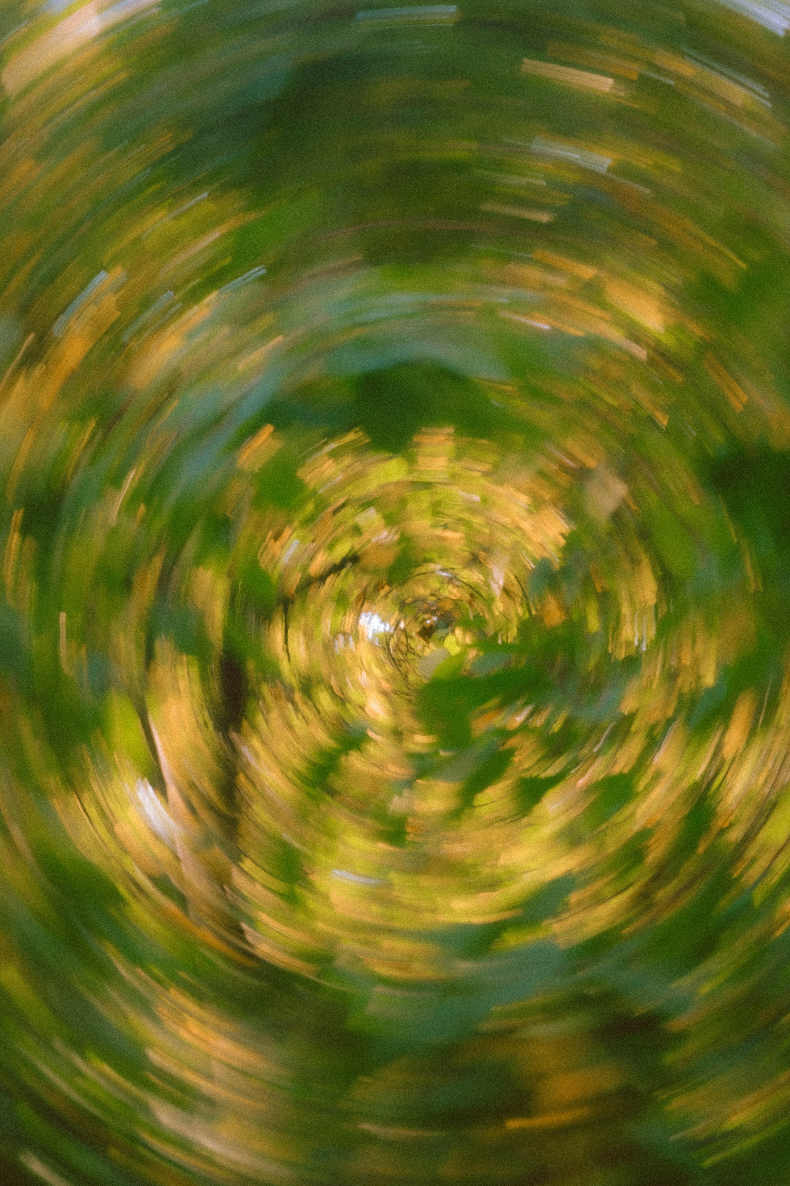 Замечательная повседневность. Контент-фотограф и видеограф в Перми