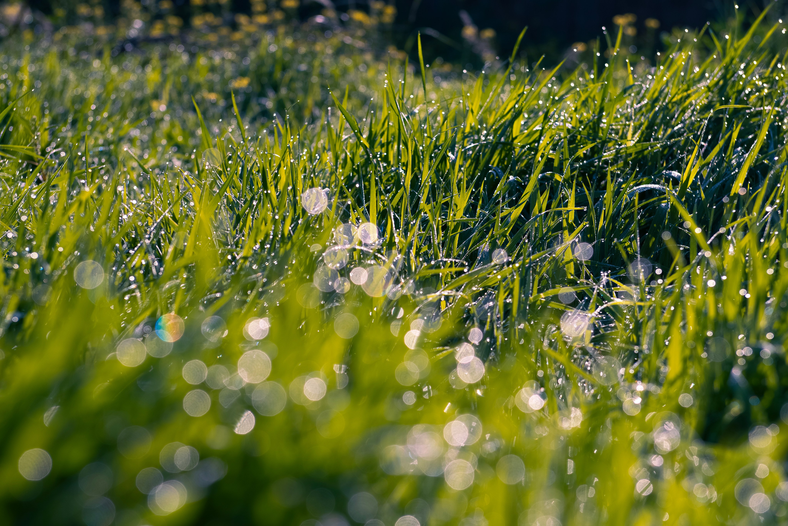 Моими глазами. Профессиональная Ретушь | Ретушер и предметный фотограф Алла Белова