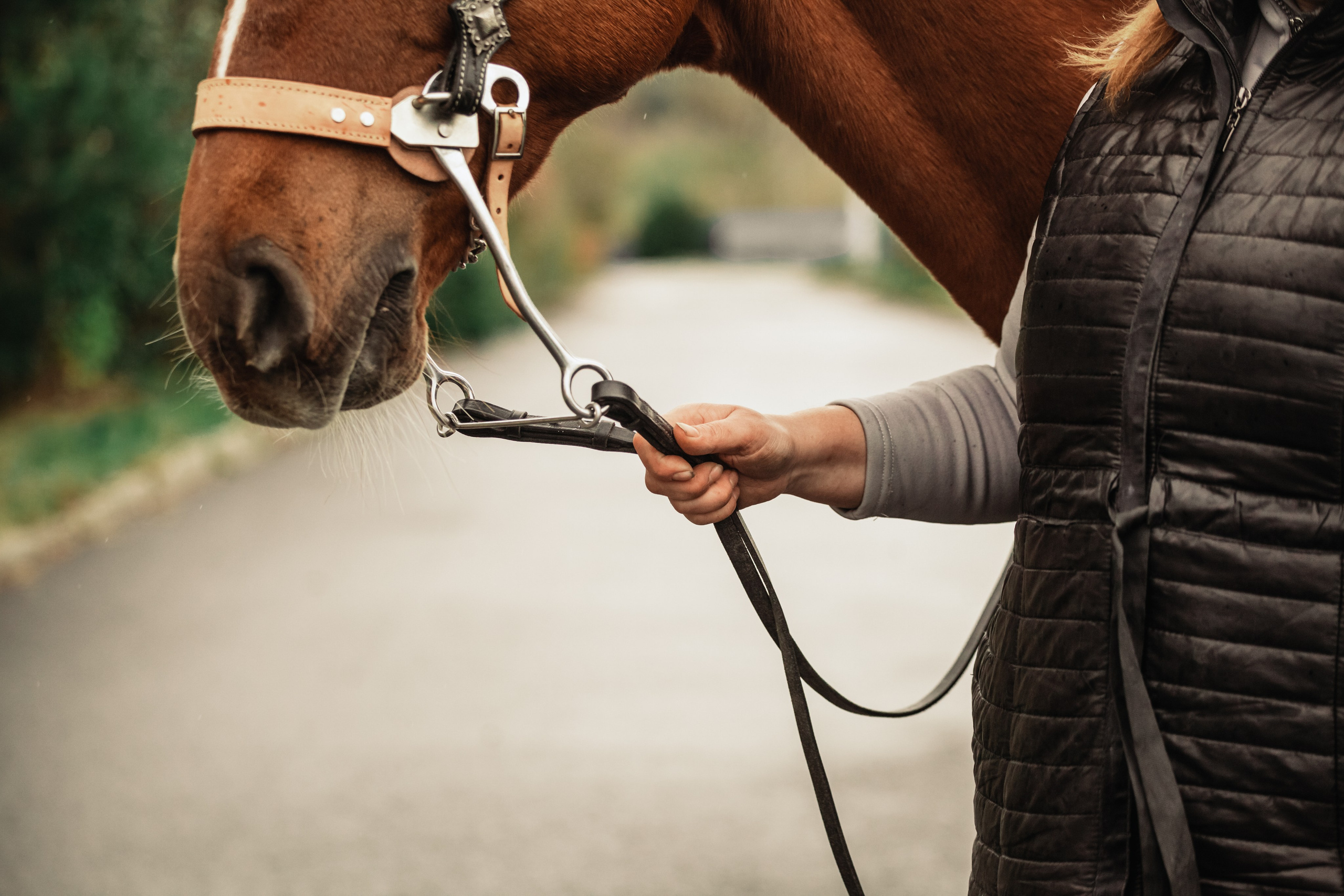 Лена и Рэджи. Фотограф-анималист Татьяна Степанова