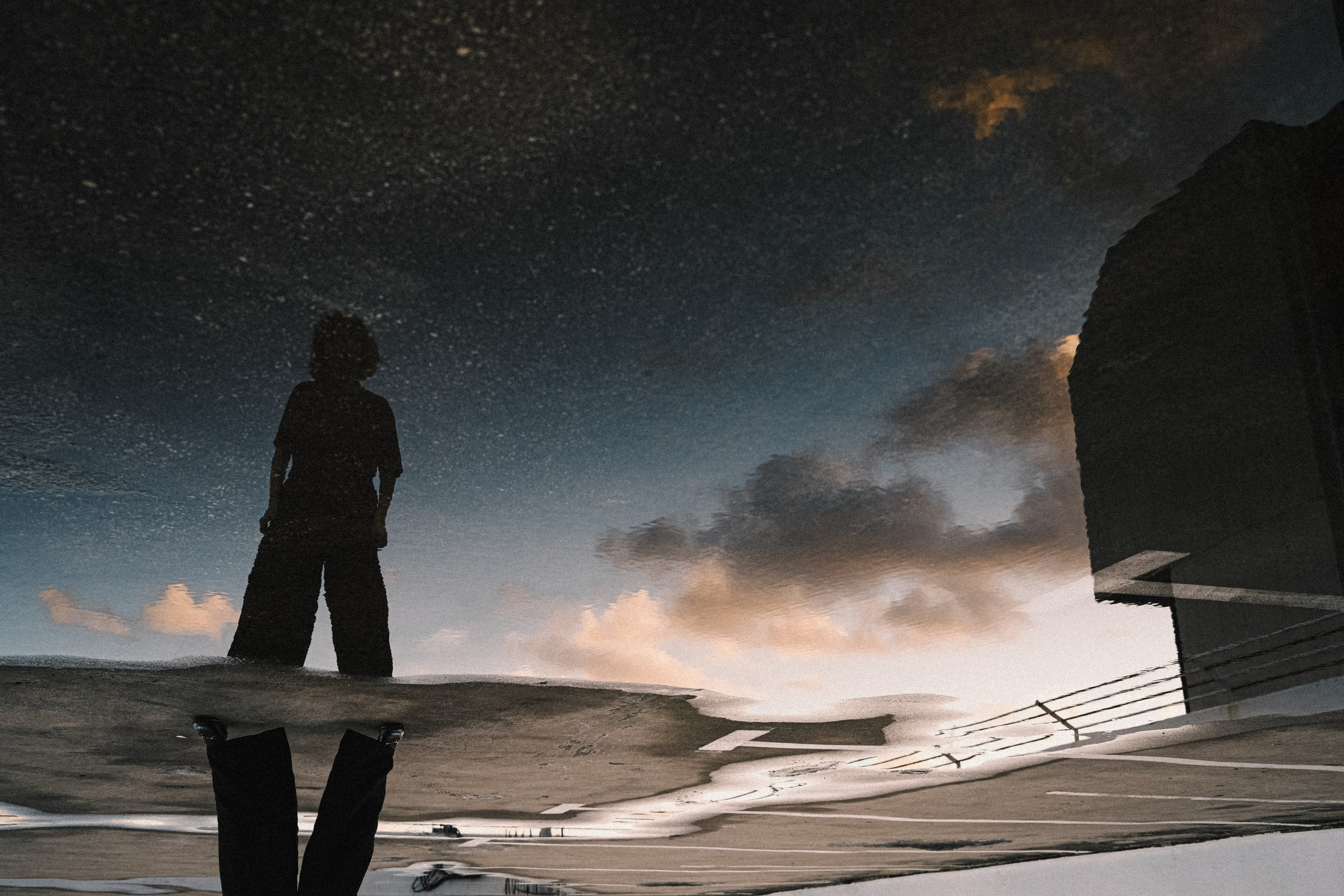 Anousha, Tel Aviv | January 2024. Photographer in Israel Alice Milchin