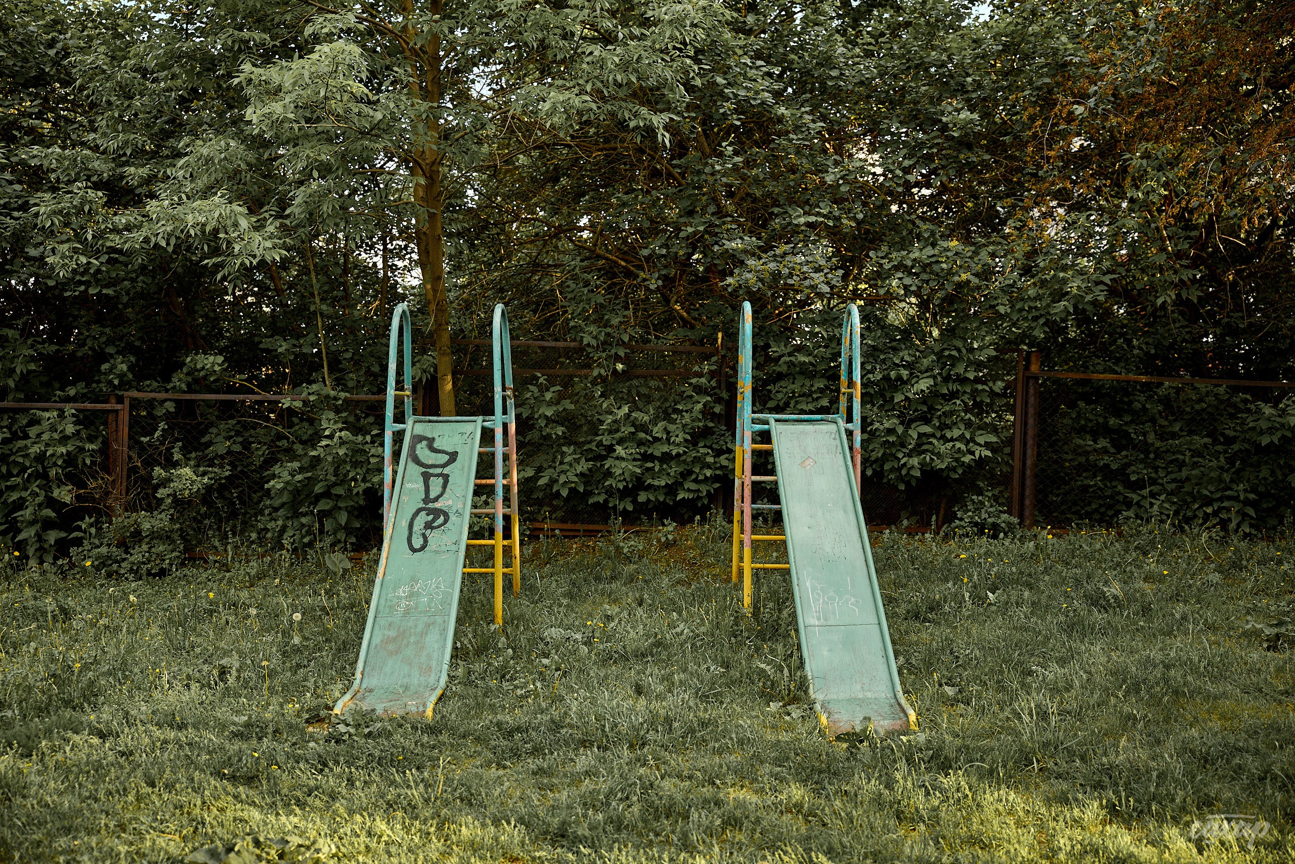 Что вижу, то и пою! от 2024_06_11. Профессиональный фотограф в Екатеринбурге Юра Сахар