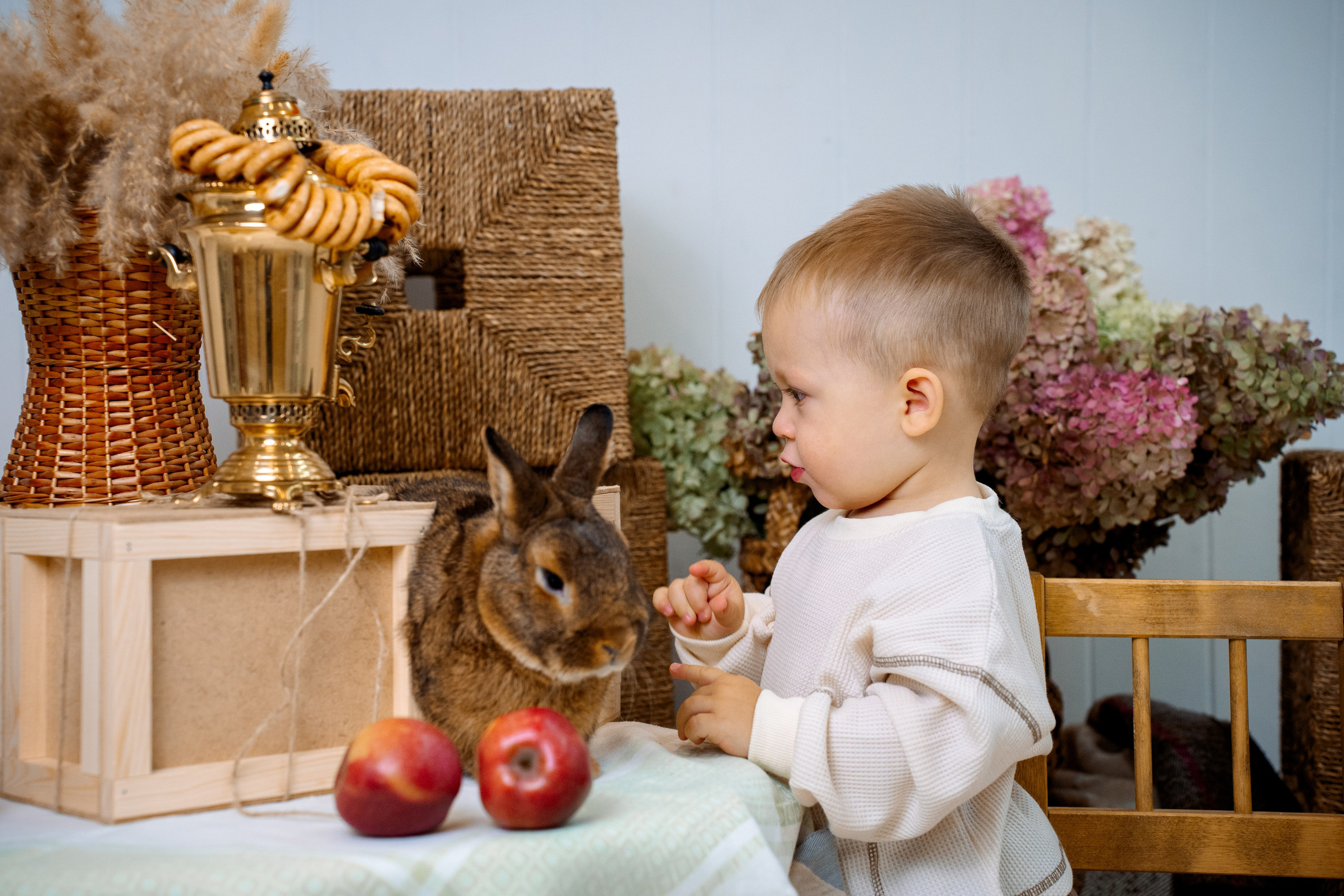 Кролик. Фотограф Казакова Анастасия