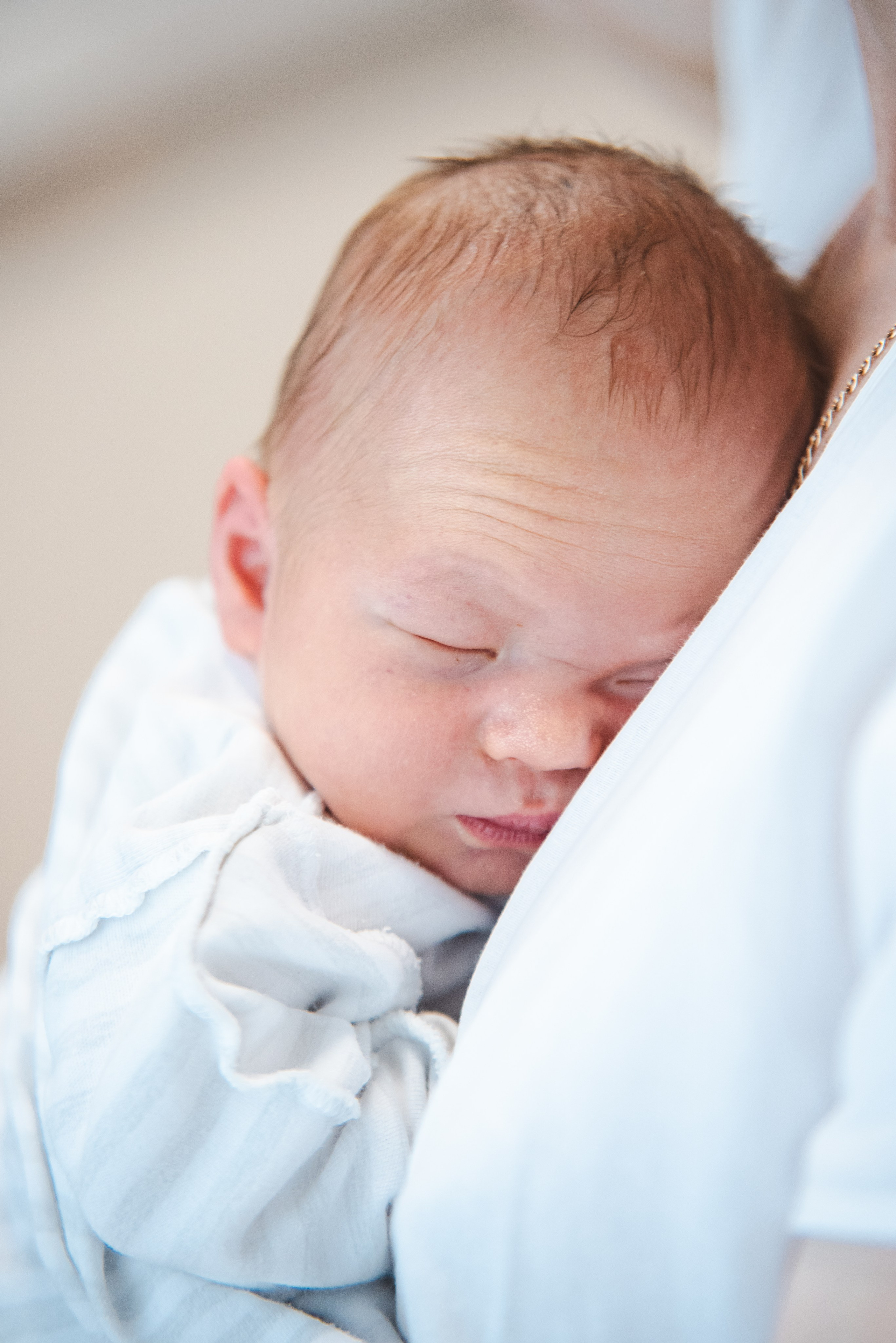 Выписка Марка 22.04.24. Наталия Март | Фотограф СПб