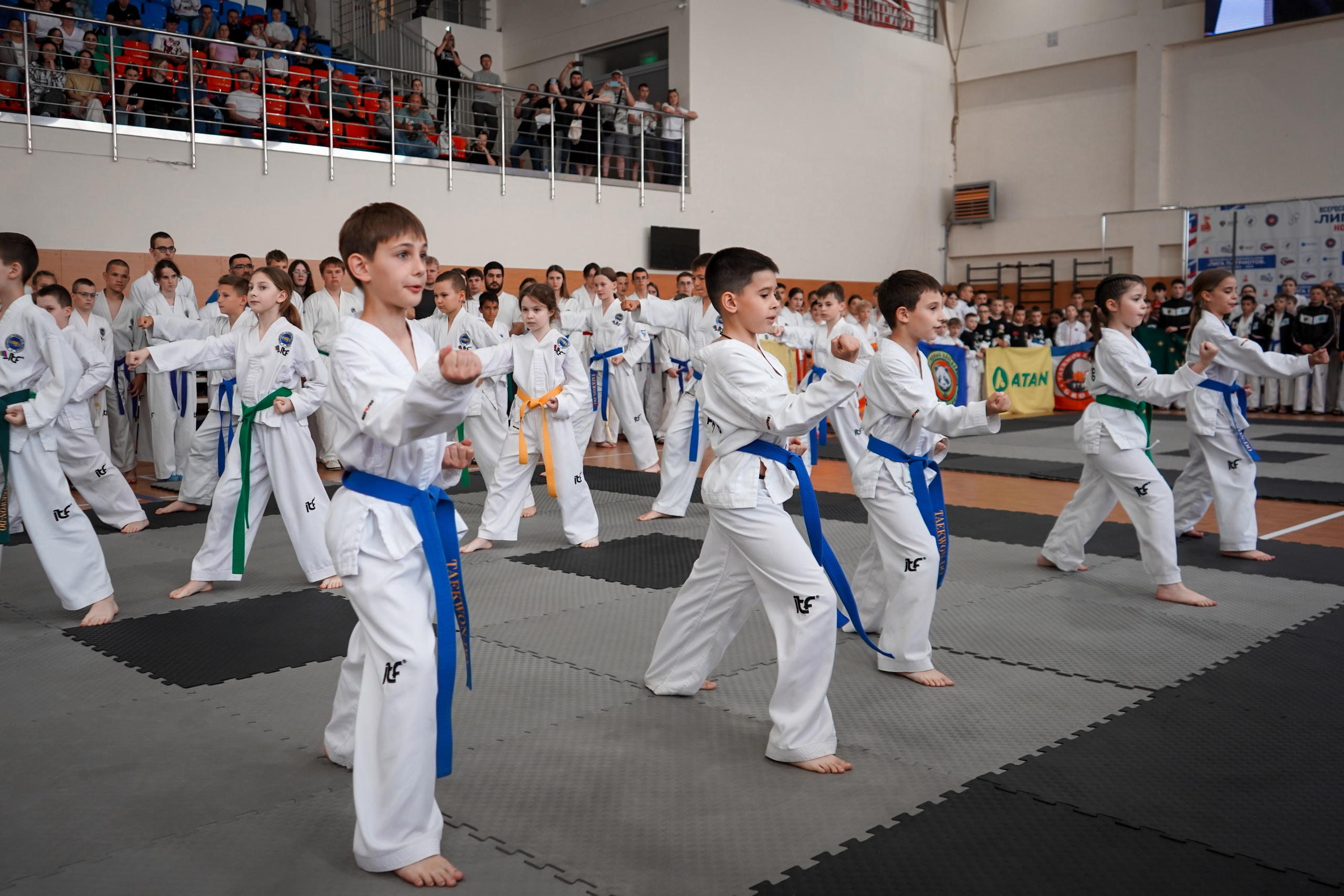 Тхэквандо — соревнования. Выпускные альбомы Натальи Бутко: Новороссийск, Анапа, Геленджик