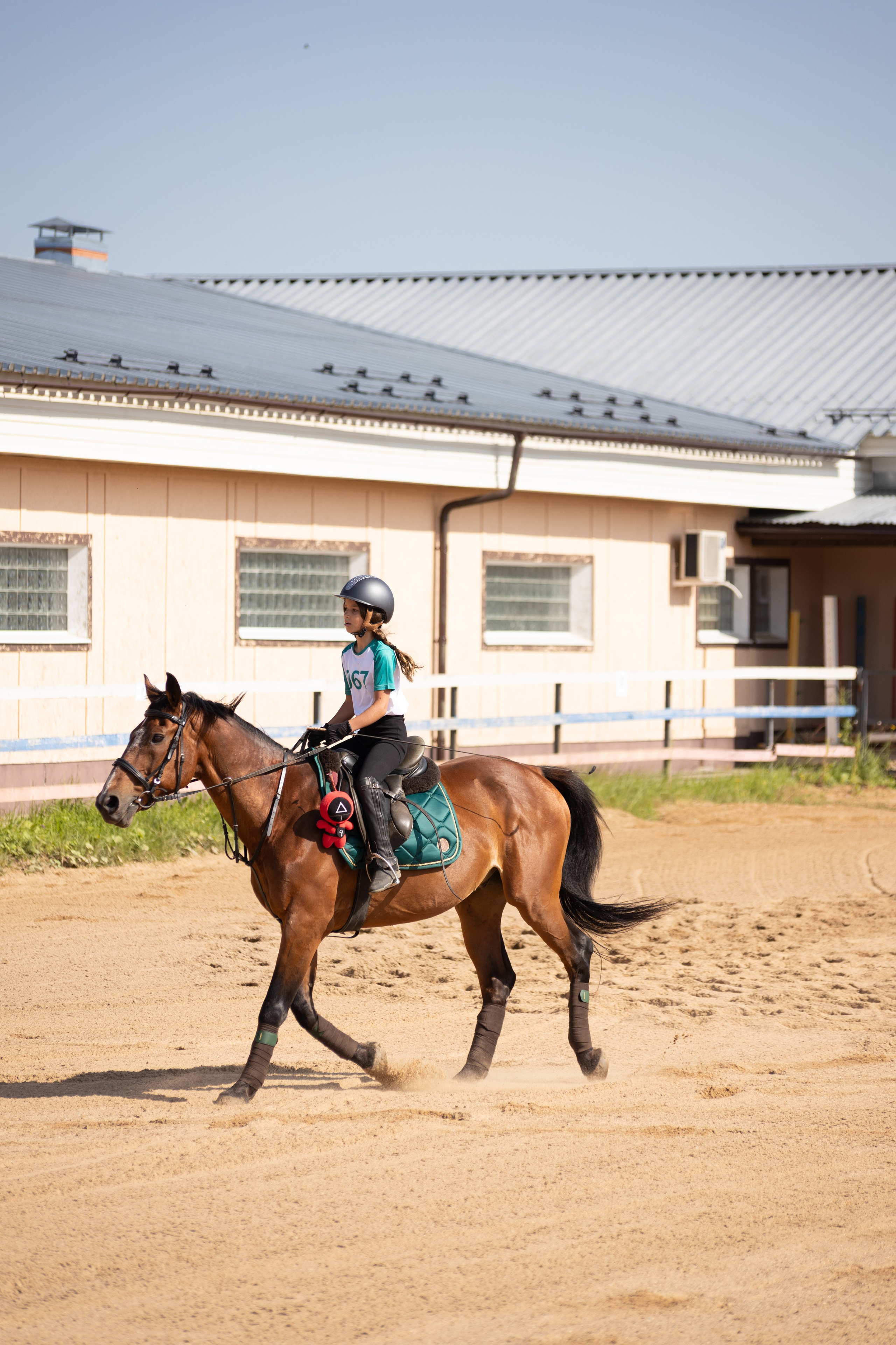 Конюшня. Фотограф в Москве и Истре