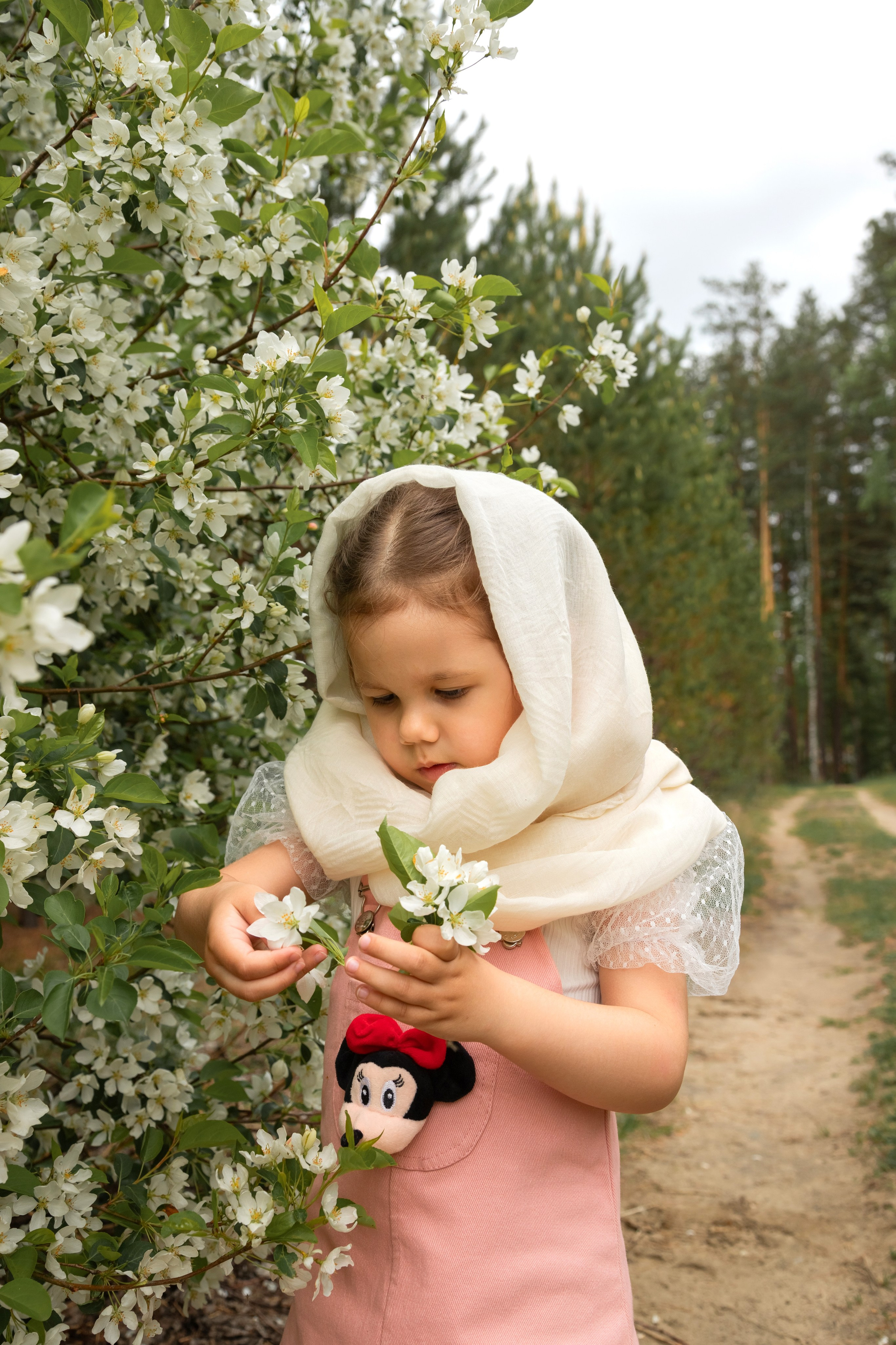 Яблоневый цвет. Фотограф в Томске Евгения Гуляева