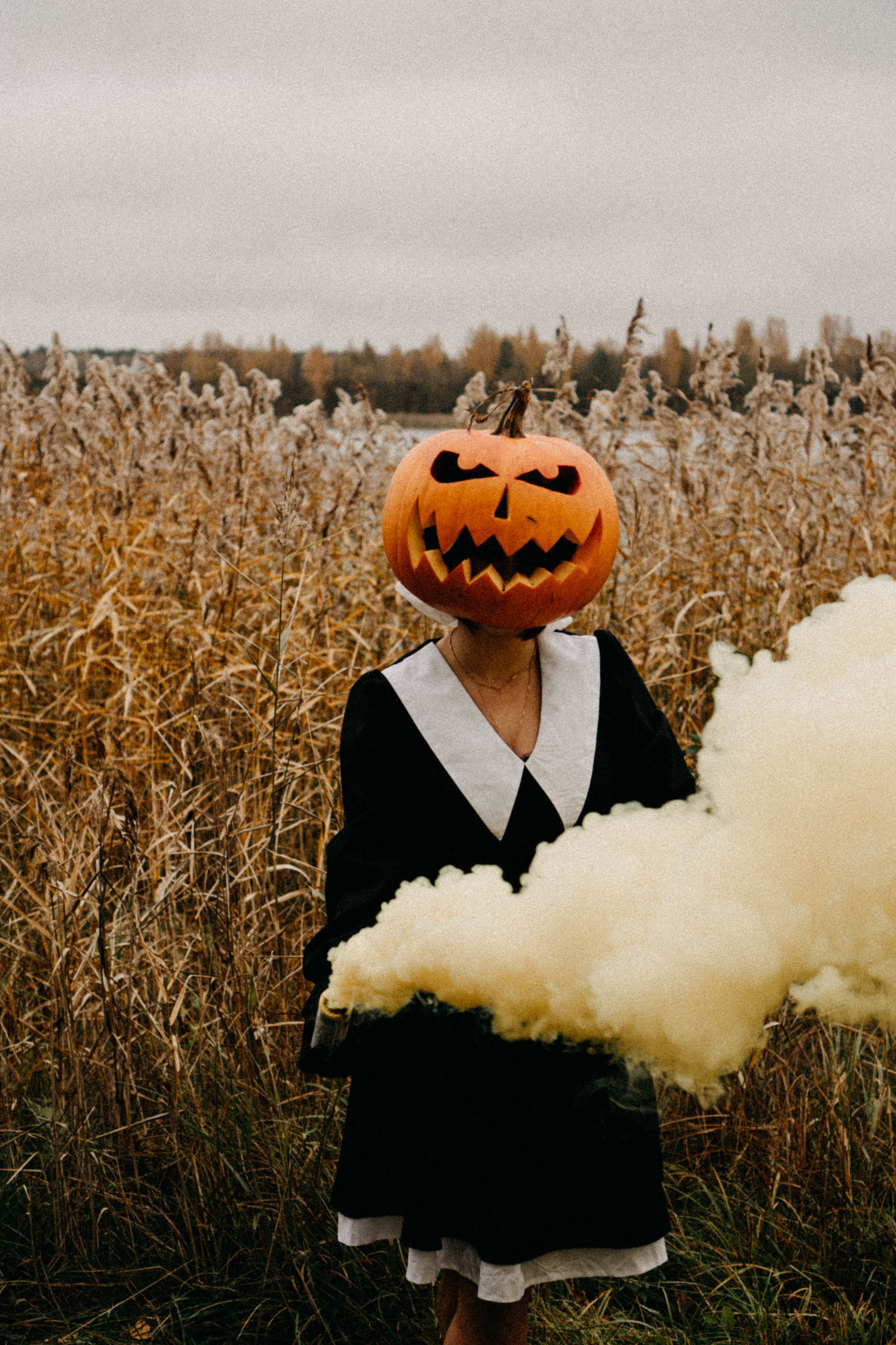 Осеняя. Профессиональный фотограф, Санкт-Петербург — Виктория Богомолова