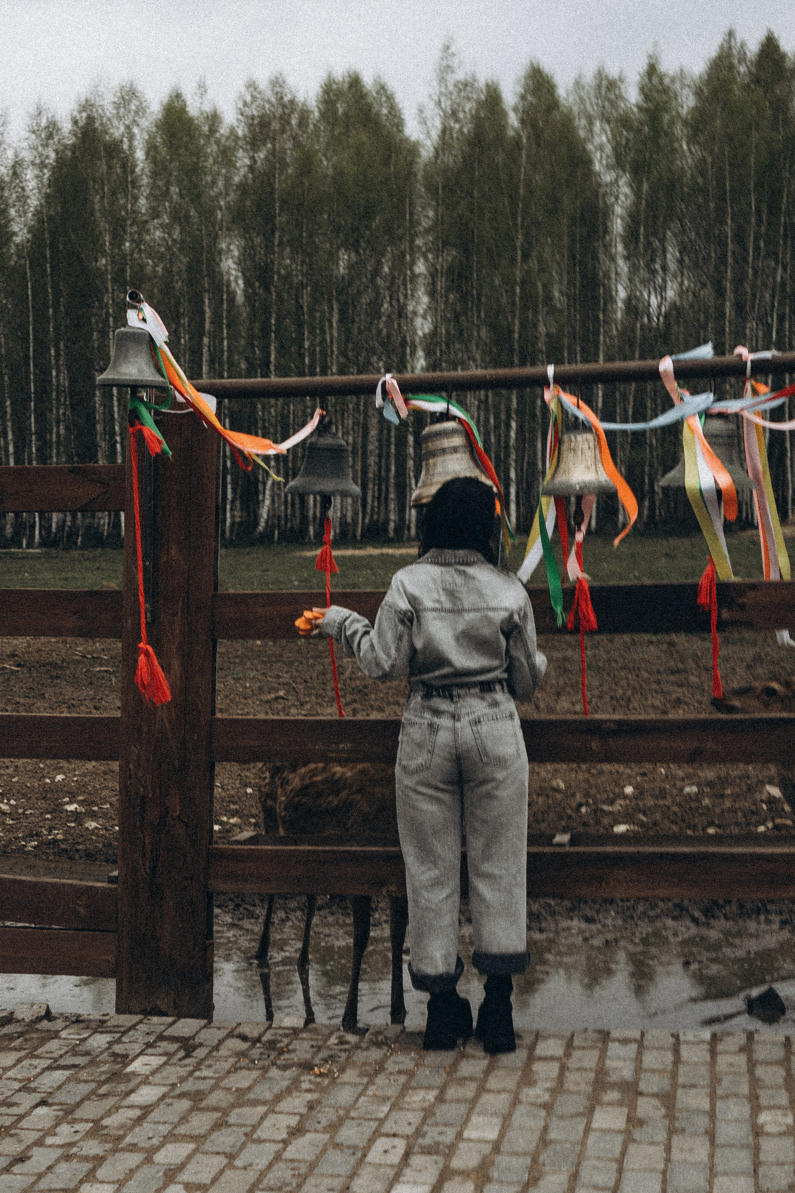 ОЛЕНЬЯ ФЕРМА В ТВЕРИ. Профессиональный фотограф, Санкт-Петербург — Виктория Богомолова
