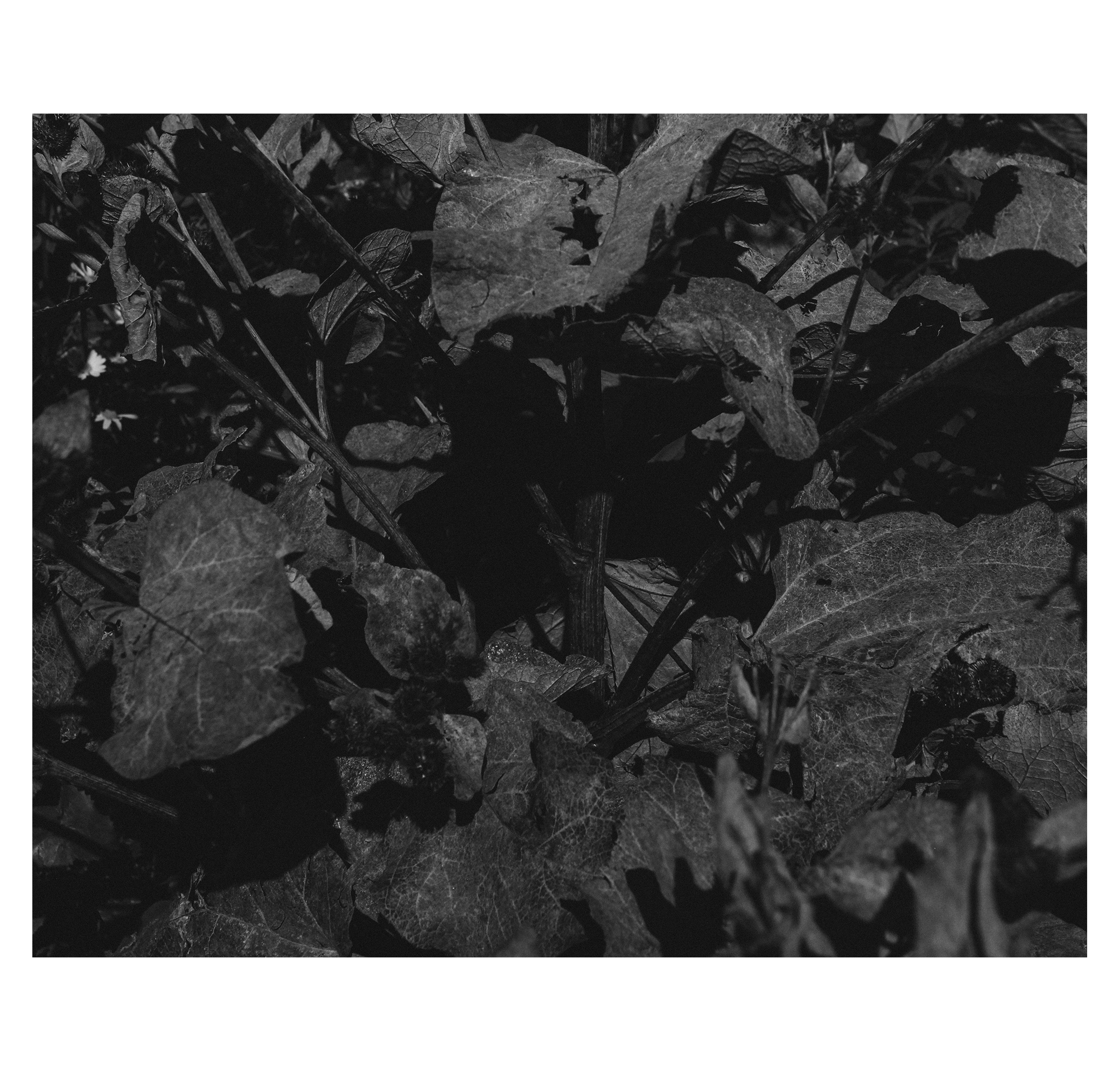 Ekb2.0. Фотограф/дизайнер в Екатеринбурге Хитрый Дмитрий