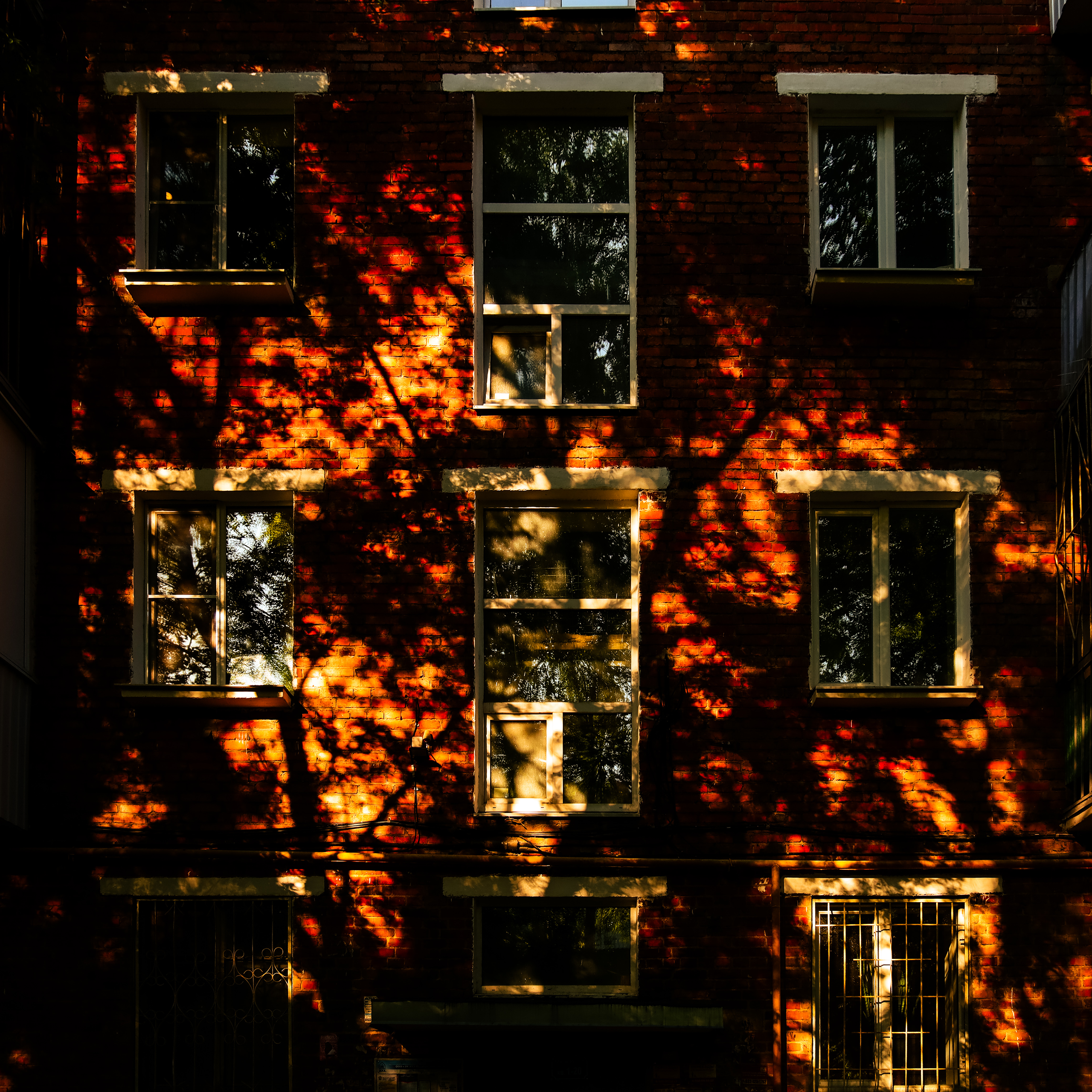 Summertime. Фотограф/дизайнер в Екатеринбурге Хитрый Дмитрий