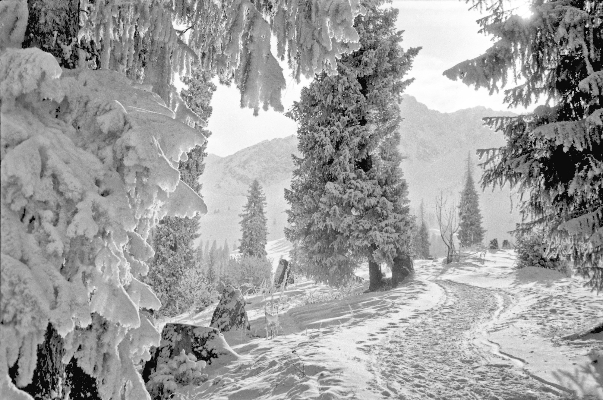 Черно-белая фотография. ВАДИМ ГИППЕНРЕЙТЕР — ВЕЛИКИЙ ФОТОГРАФ ЗЕМЛИ РУССКОЙ