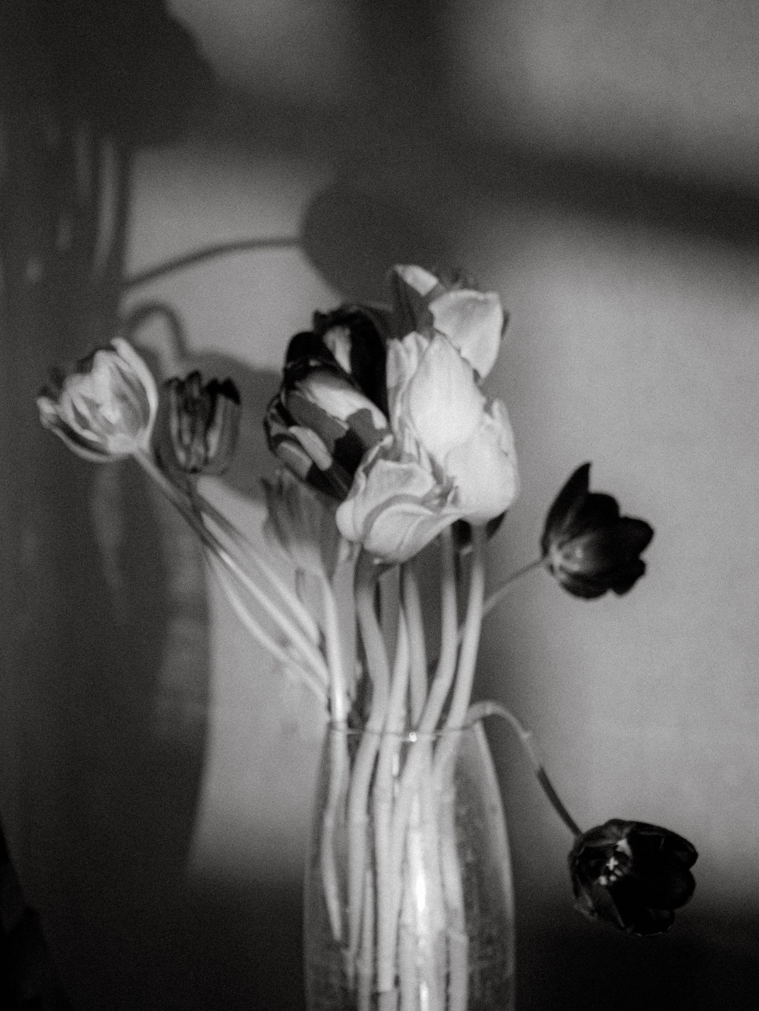 Вера. Видеограф Нижний Новгород, Санкт-Петербург Лена Латышева