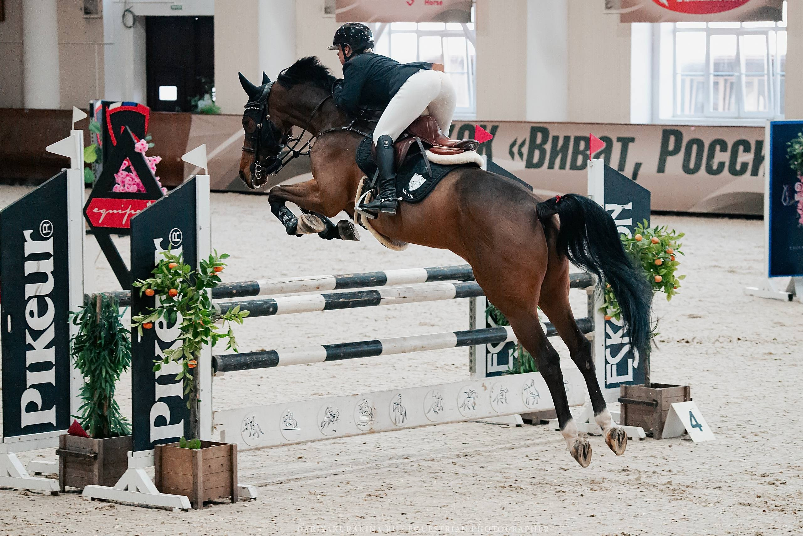 ЧЕМПИОНАТ МОСКОВСКОЙ ОБЛАСТИ ПО КОНКУРУ КСК «ВИВАТ, РОССИЯ!». Куракина Дарья • Конный фотограф