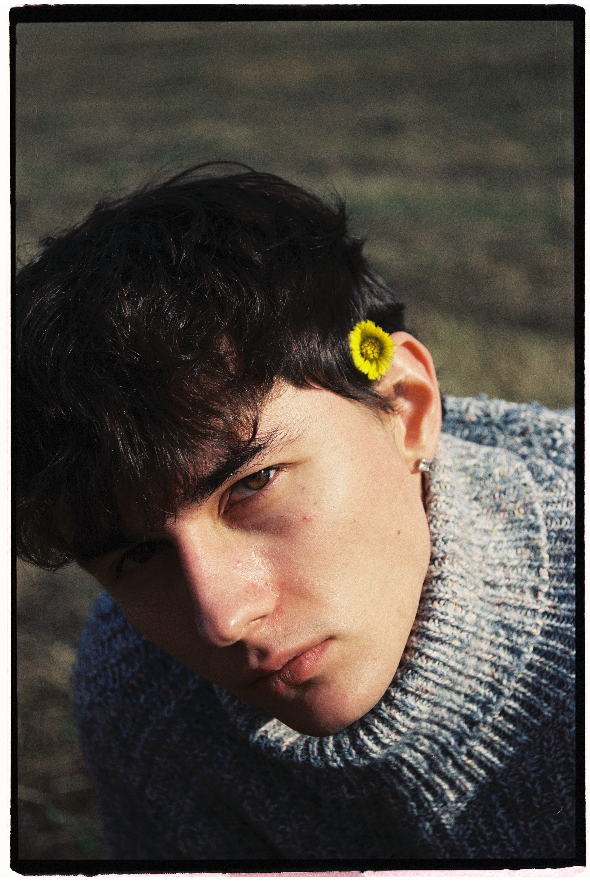 Film chronicle. Kosky ilya