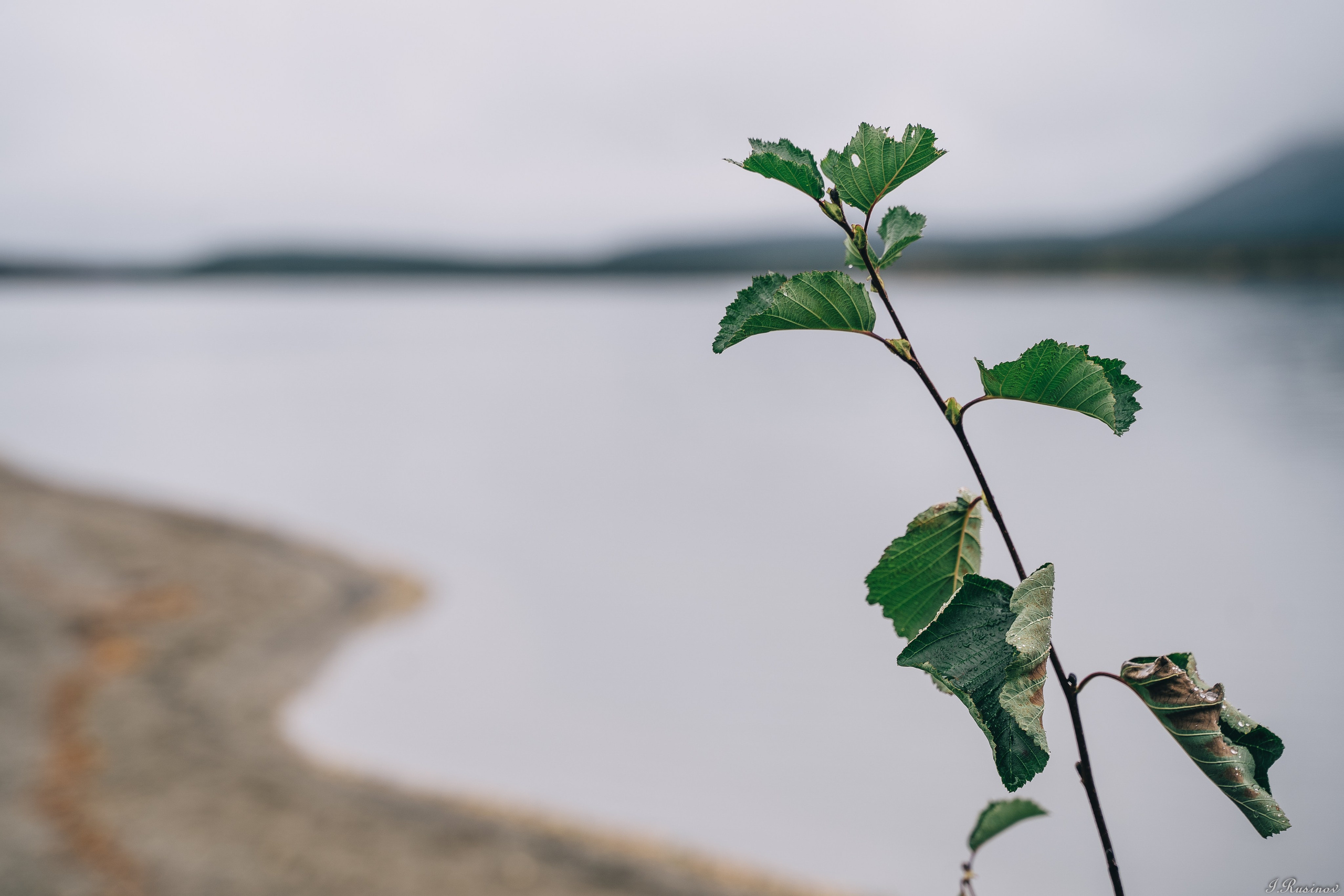 ХИБИНЫ 2021 г. Event фотограф Степанова Александра