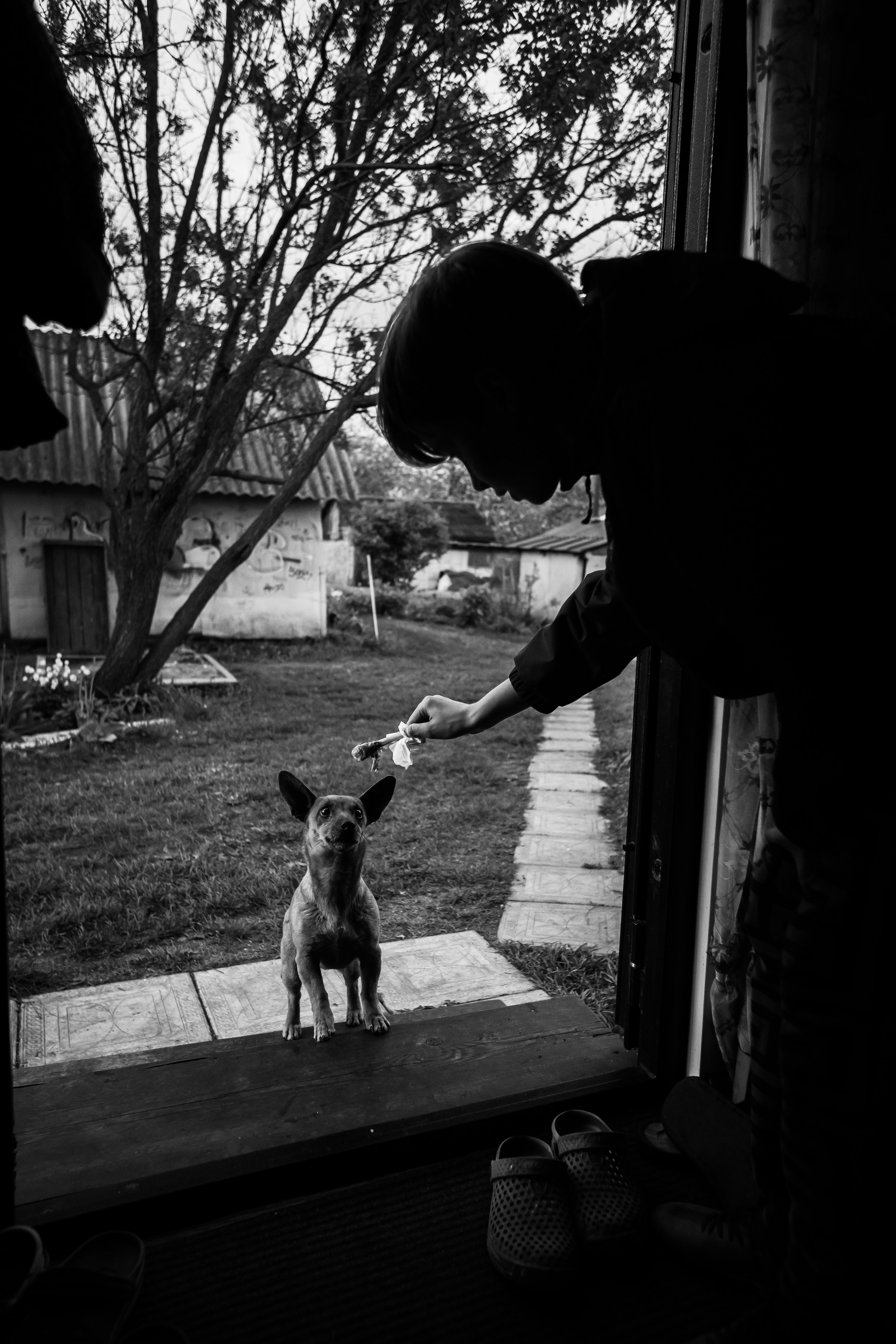 Деревенские зарисовки. Семейный LIFESTYLE фотограф в Москве