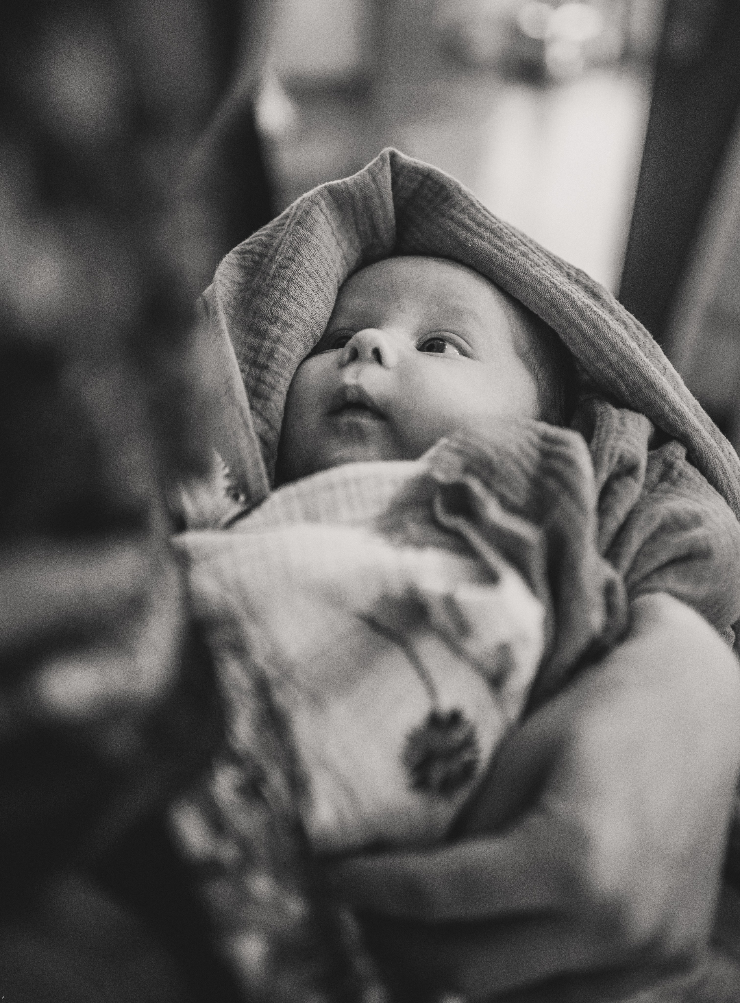 Примеры работ