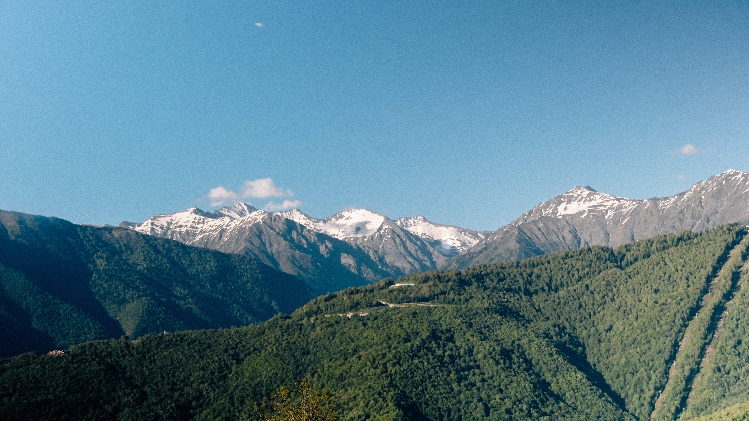 Аркея. Свадебный Видеограф Фотограф в Сочи