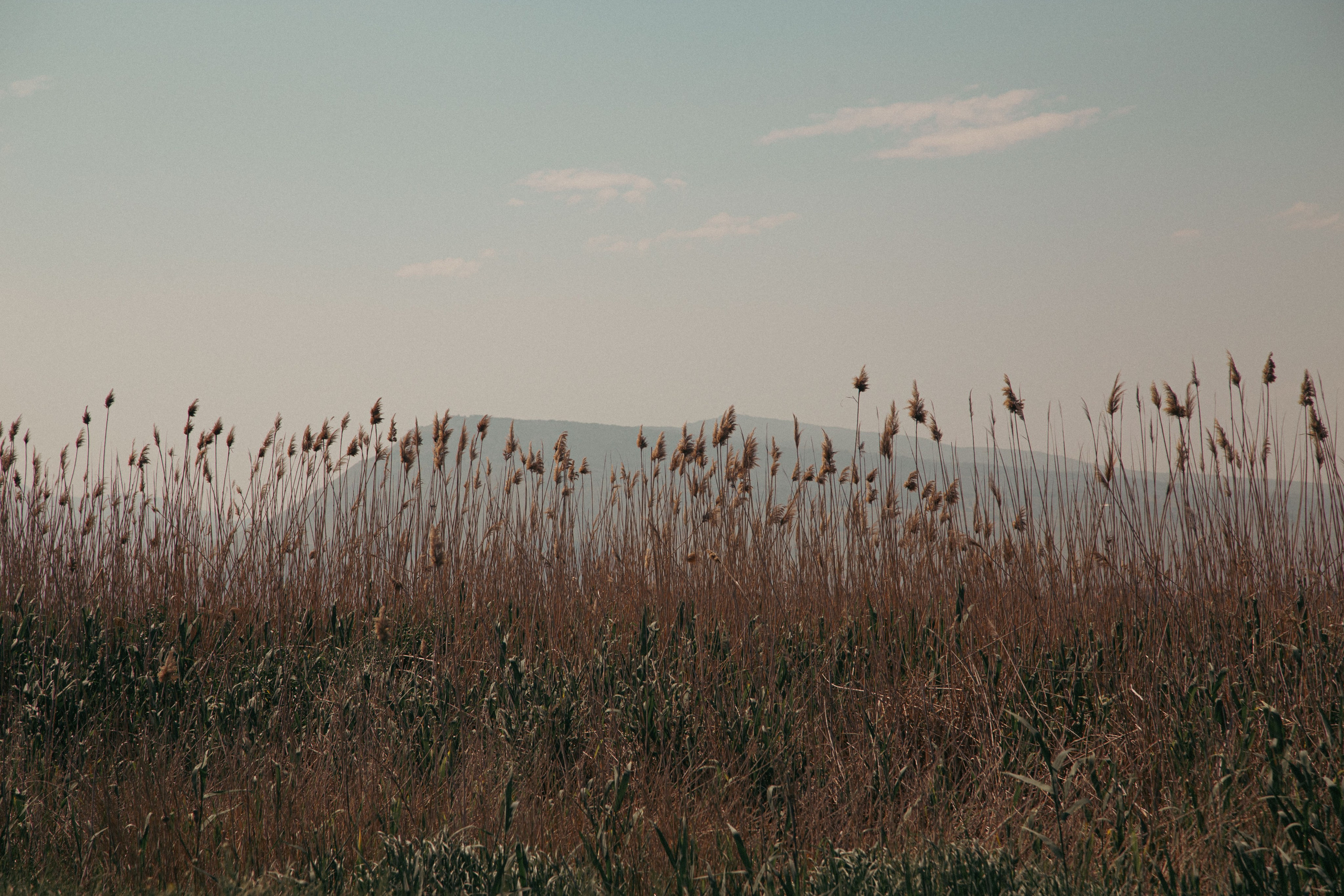 Новый Хушет. Dmitriy [KCCC] is a pretty cool photographer