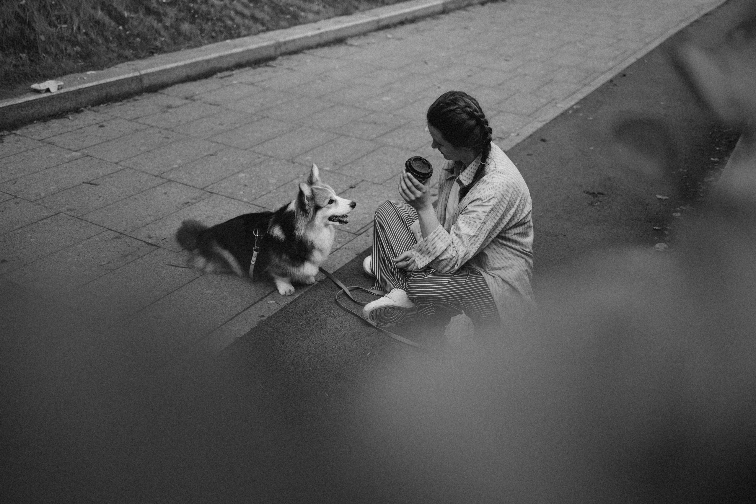 Мишель и Влада. Фотораф — анималист Мария Шистка