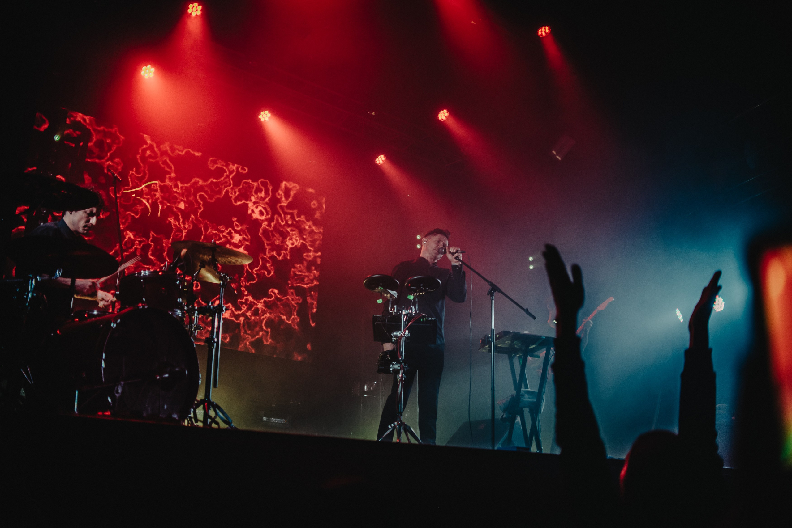 Дельфин | Gaudi. Контент фотограф Илья Урс