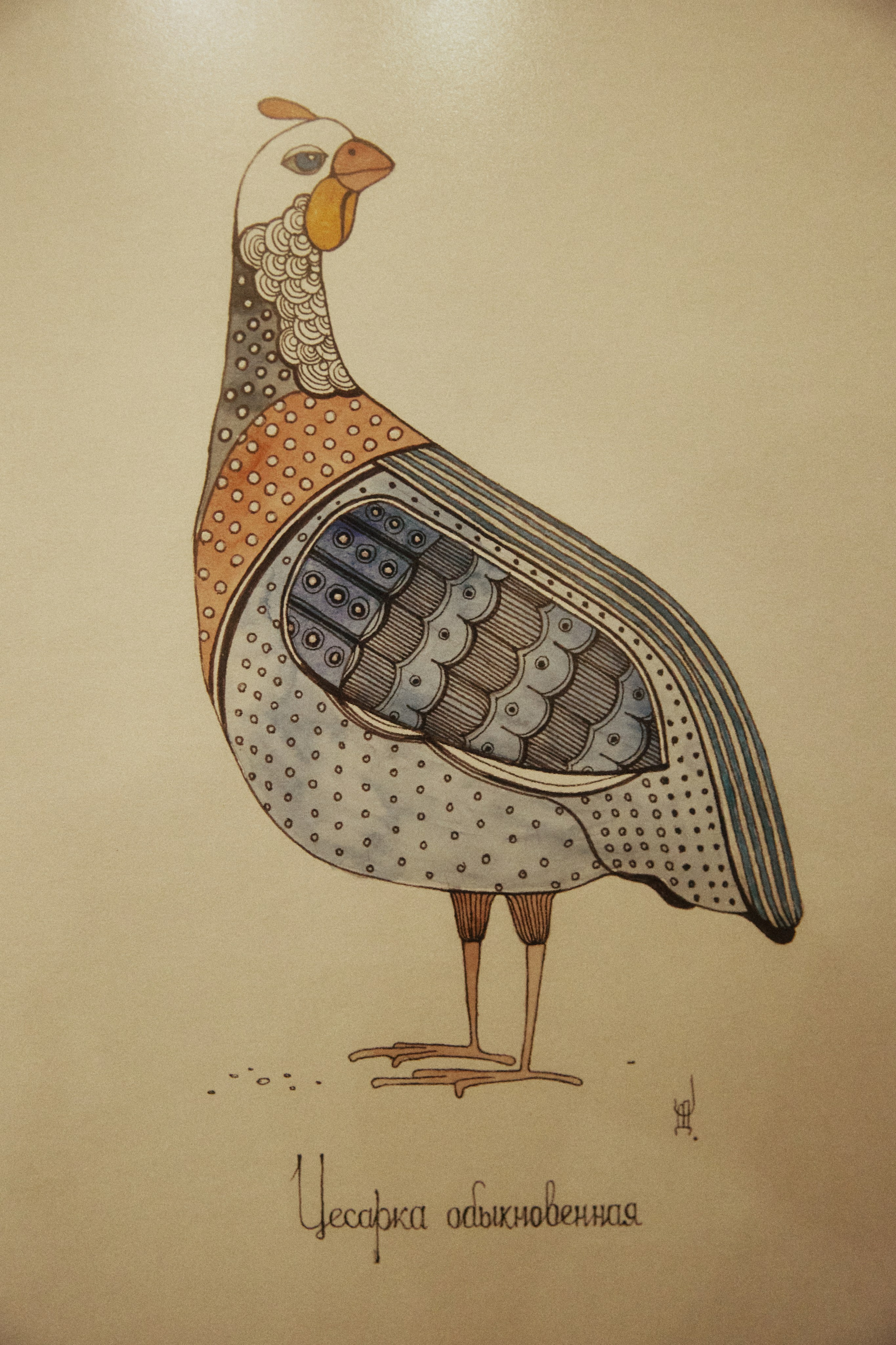 A NEW FAMILY TREE. Дмитрий Мазуркевич: Профессиональный Репортажный Фотограф