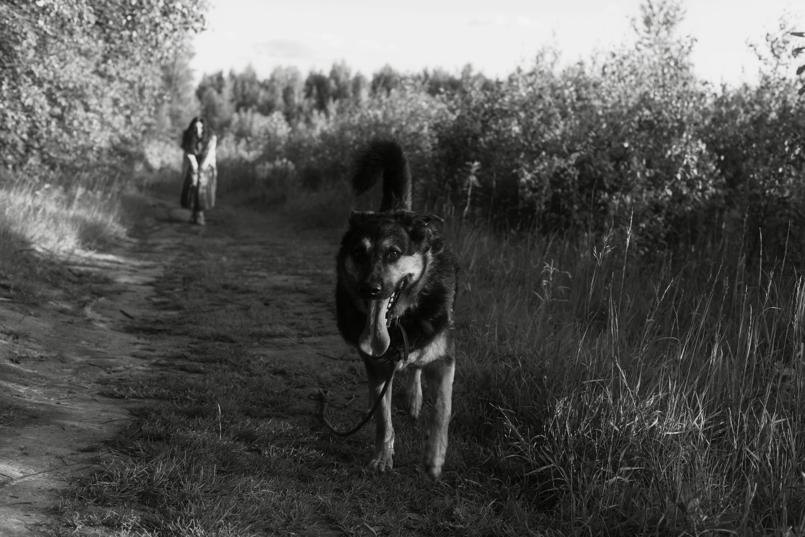 Прогулка с собакой. Ekaterina Beridze
