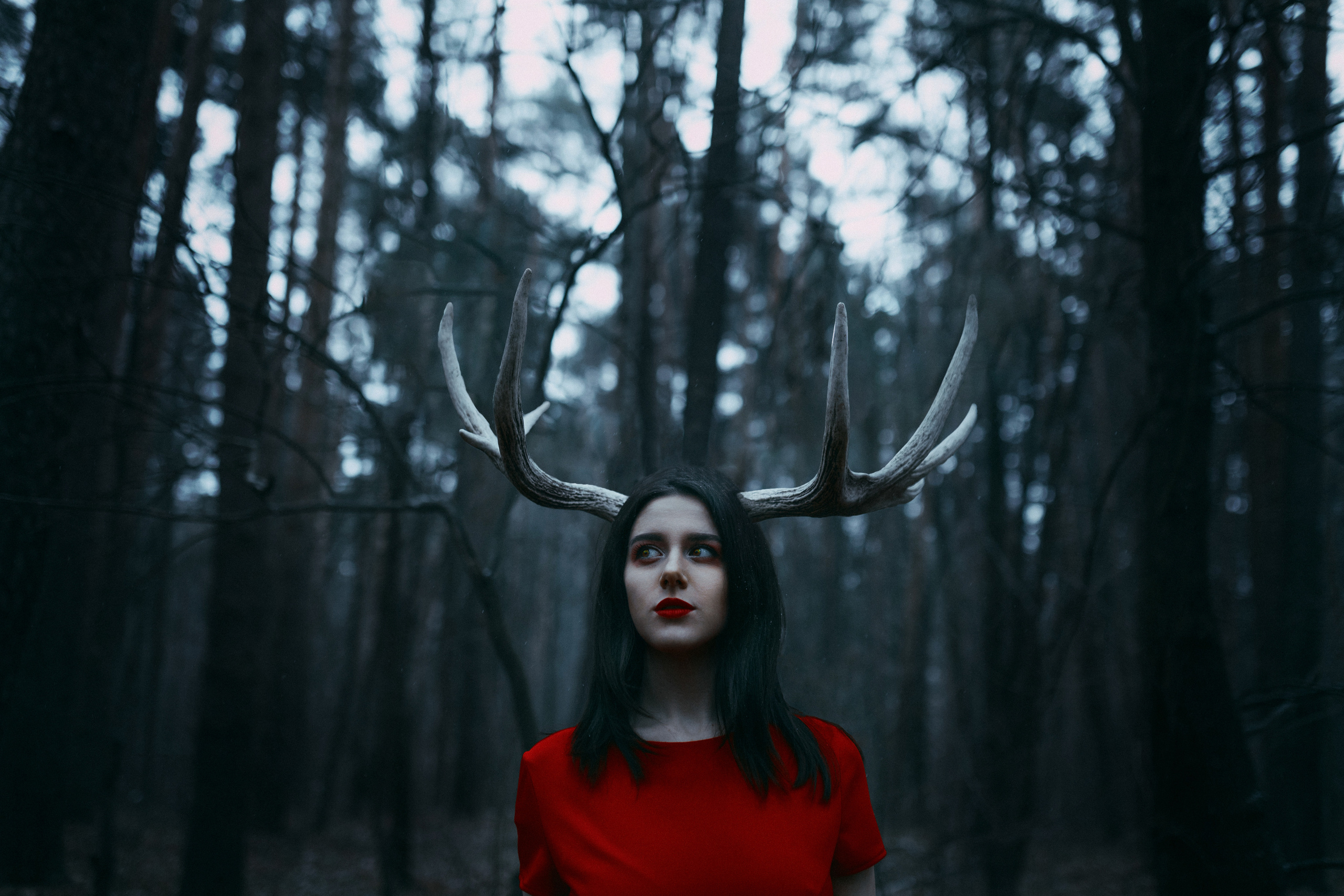 Art. Дранишников Ярослав — Портретный фотограф