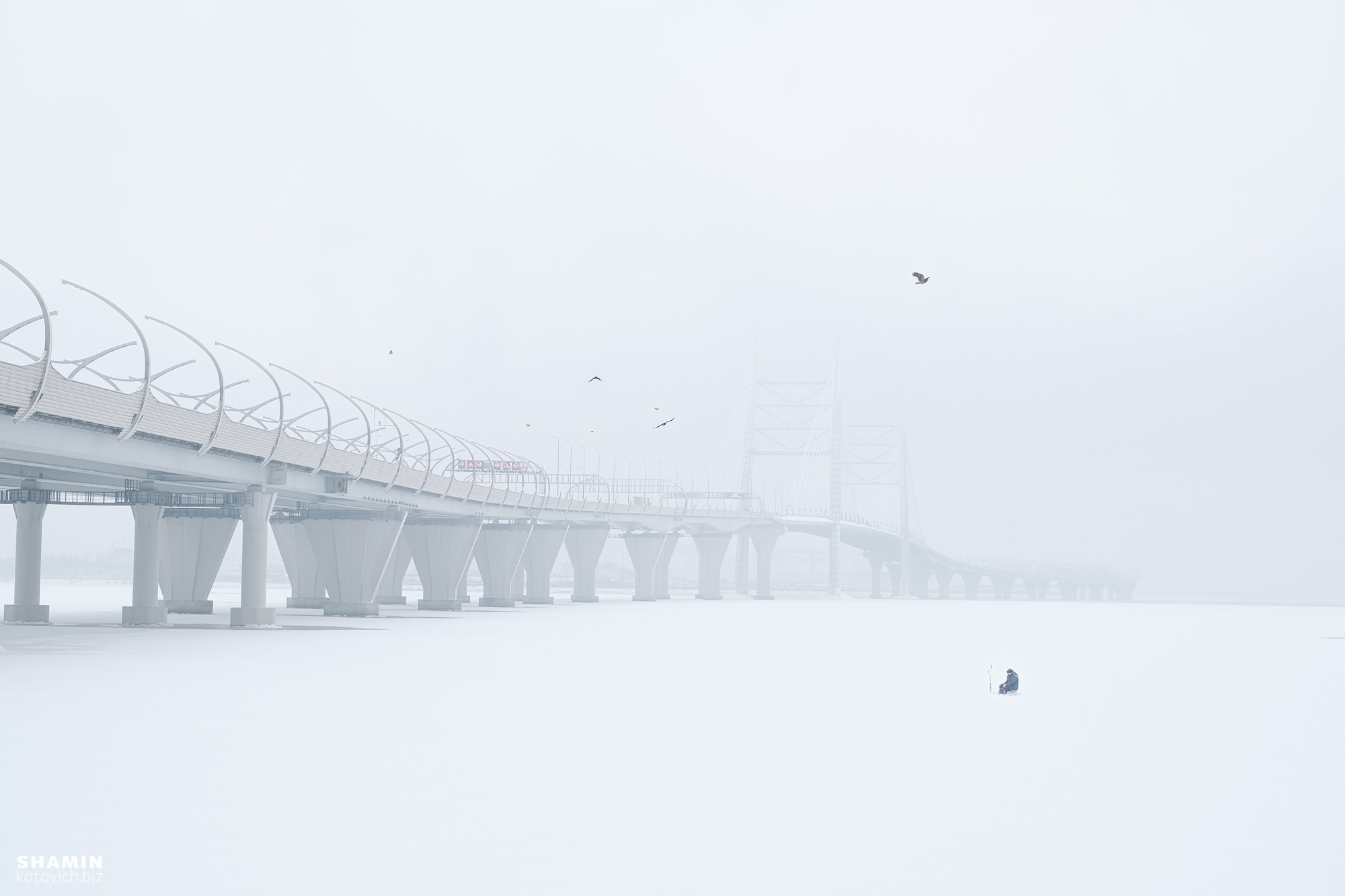 365 (2022 год). Фотограф Константин Шамин